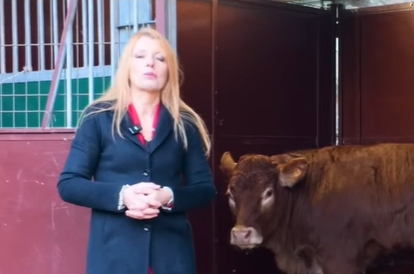 La nuova vita della mucca Minerva 