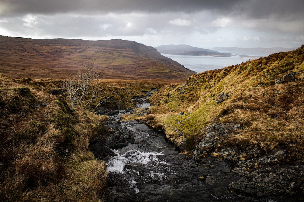 Gain efficiency and savings with best-in-class shift planning