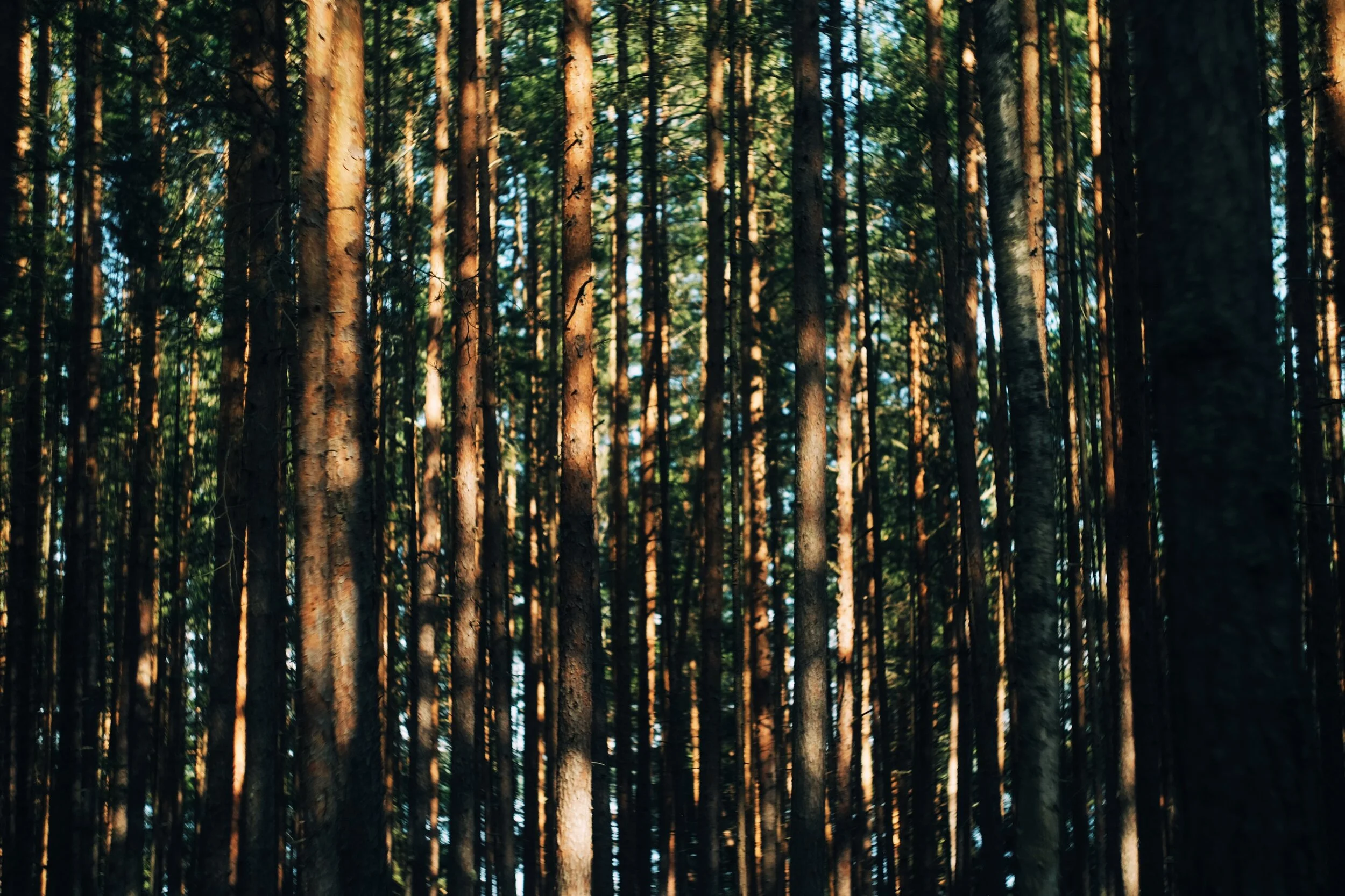 The most environmentally-friendly garment you own is the one you wear year after year.