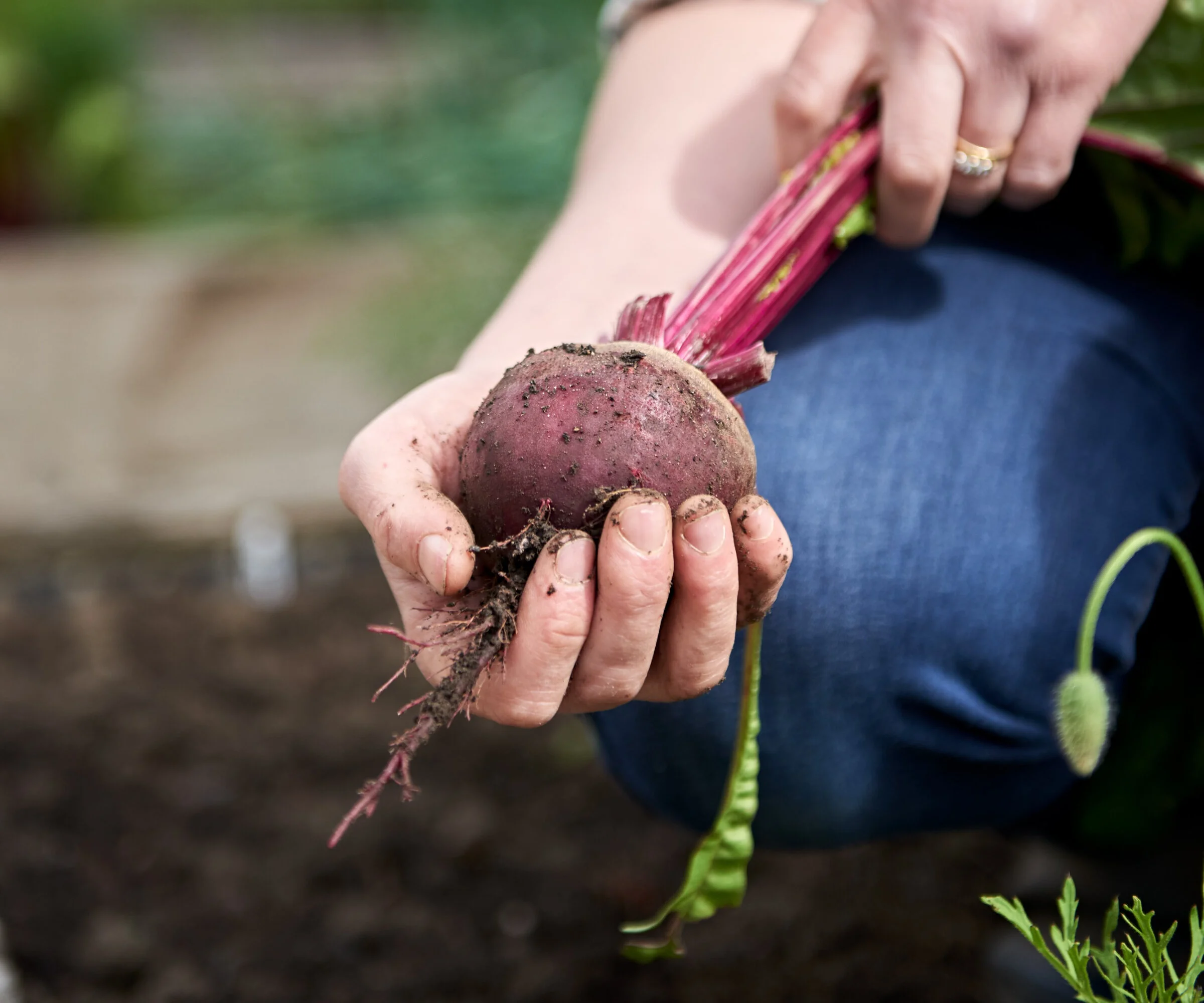 Nutrition is fundamental to good health, learn how Jo can help you through food.