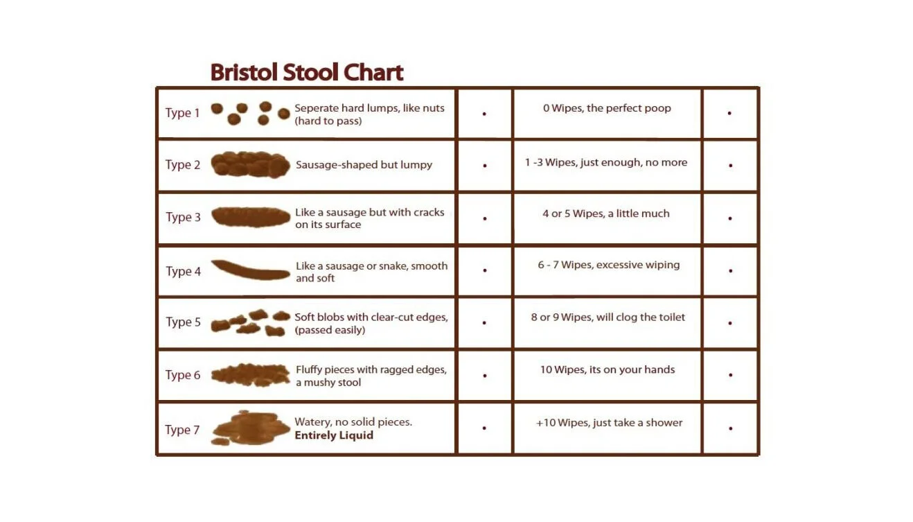 The Power Of Your Poo The Umbel