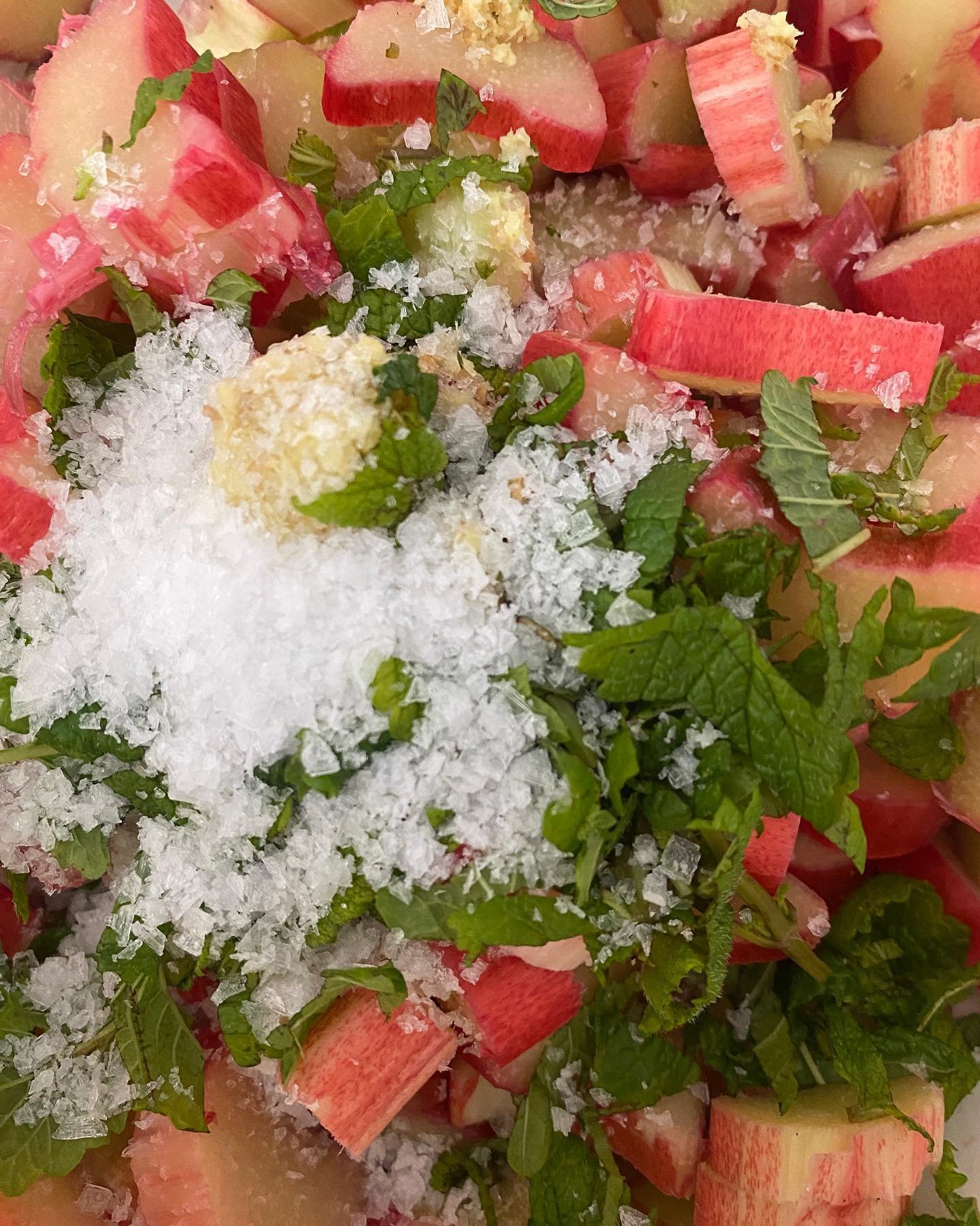 The rhubarb is erupting! 

I actually made 3 different rhubarb ferments this week - a shrub (involves apple cider vinegar), a cooked rhubarb ferment, where I needed to re-inoculate with lactic acid microbes after cooking and cooling the rhubarb (I po