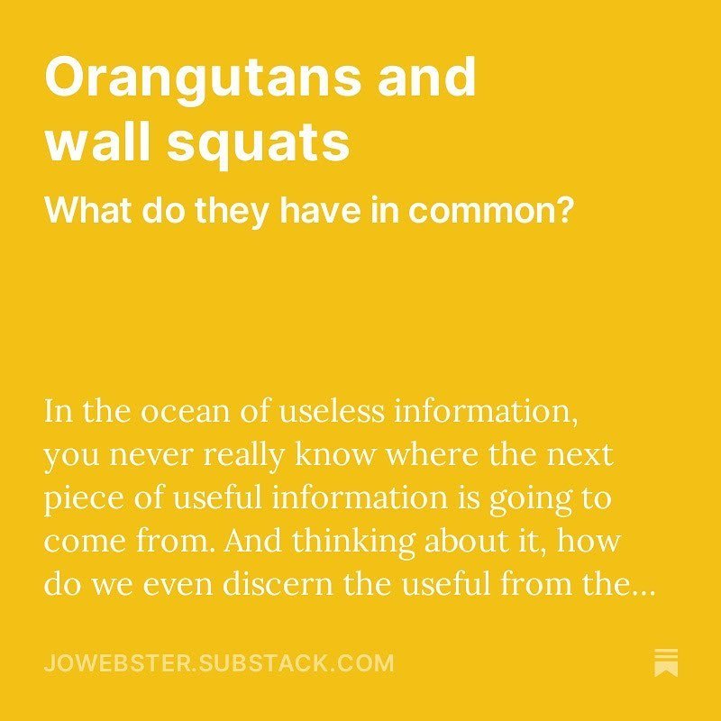 The link between orangutans and wall squats makes perfect sense to me 😀. I like instagram, but I am reading Stolen Focus and am finding things more comfy over at Substack. 

You don&rsquo;t need an account to subscribe. You don&rsquo;t need to pay t