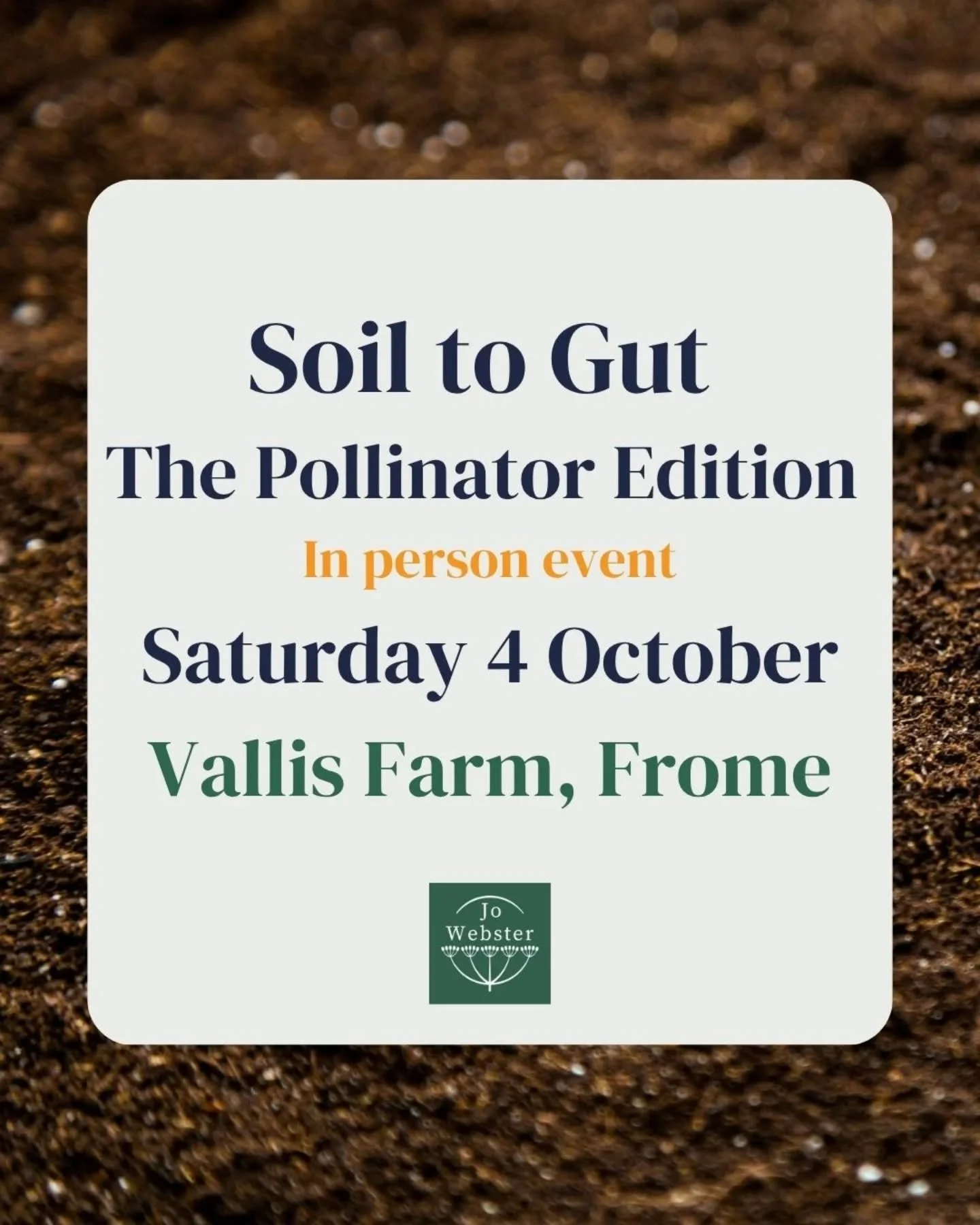 🐝Time to get busy learning about bees?

I&rsquo;m looking forward to a day celebrating everything bee-related with some wonderful colleagues. Join me, Caroline of @every.good.thing, Paula of @getpickled.somerset, Paul of @blackbeehoneycompany and Ra