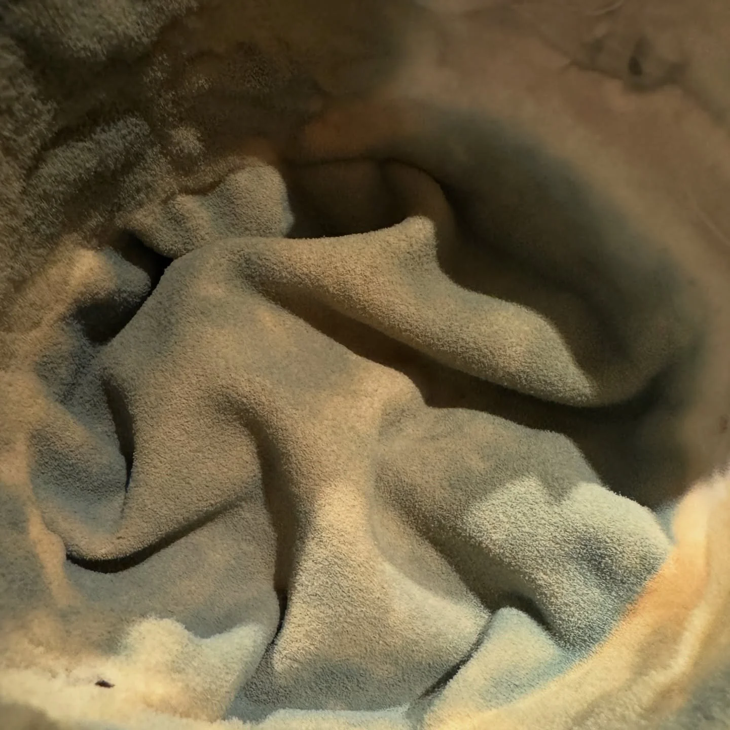 It is important to know the difference between controlled microbial activity and uncontrolled microbial activity. Know what I mean?!!! 👀. The controlled kind is always going on in our house, but sometimes, some uncontrolled action occurs!! 

Milk ke