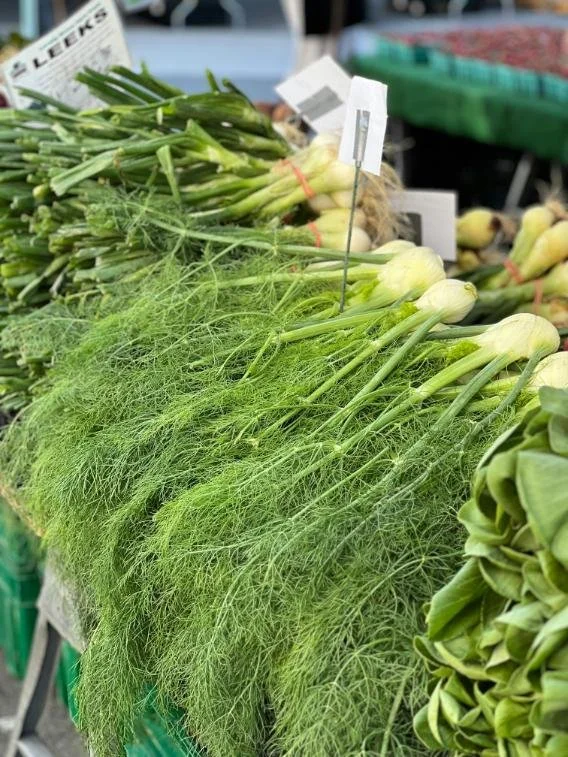 Fennel blush ferment 