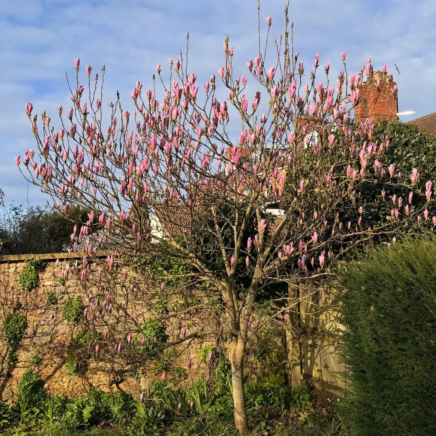 To all of you everywhere, breaking cycles of pain and suffering through your parenting.

To all of you facing your own pain and suffering with vulnerability, courage and determination so that the next generation can be more themselves sooner.

A dear