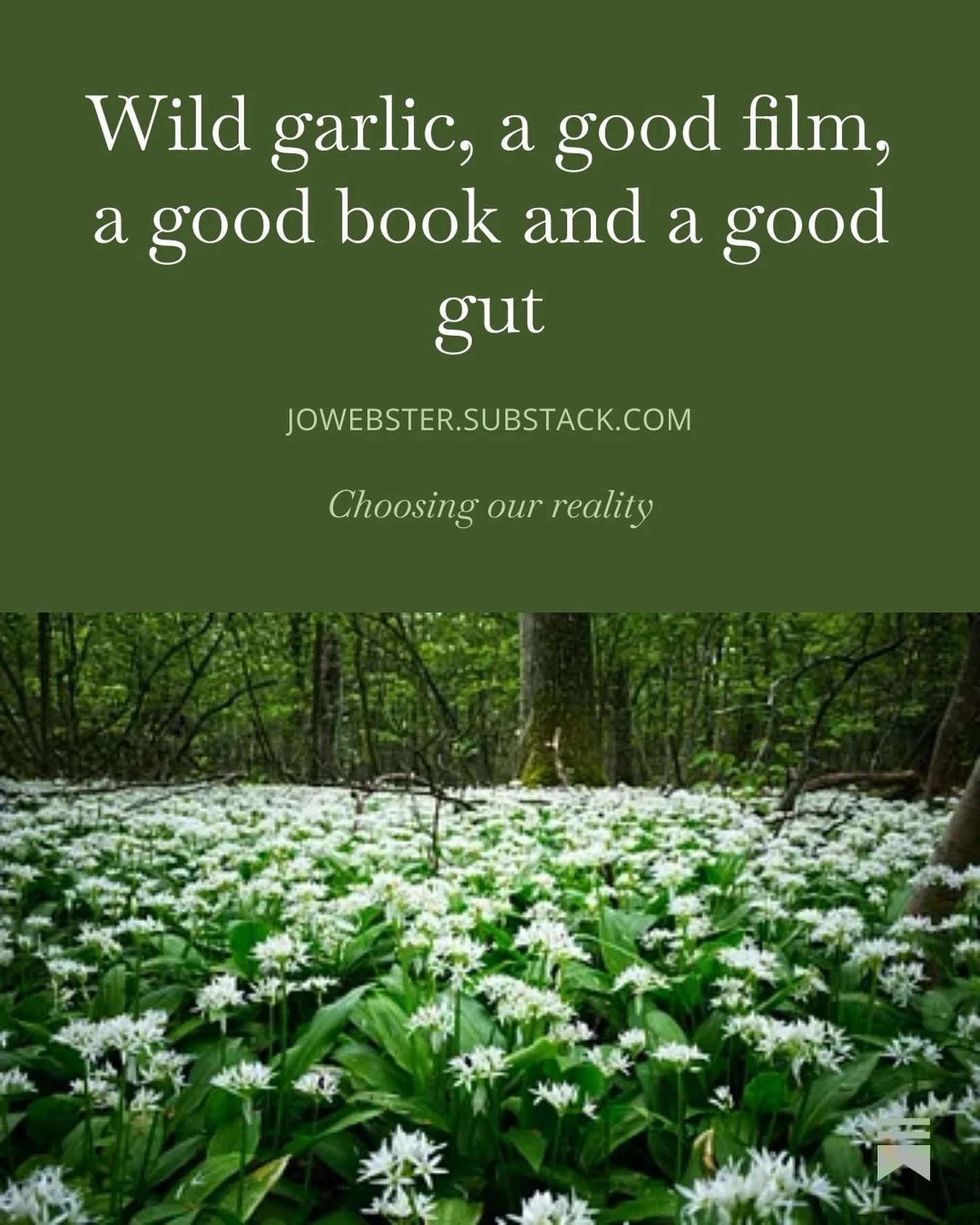 My latest Substack has something for everyone; foraging, watching a film, reading a book and talking about the ins and outs of your gut 😀.