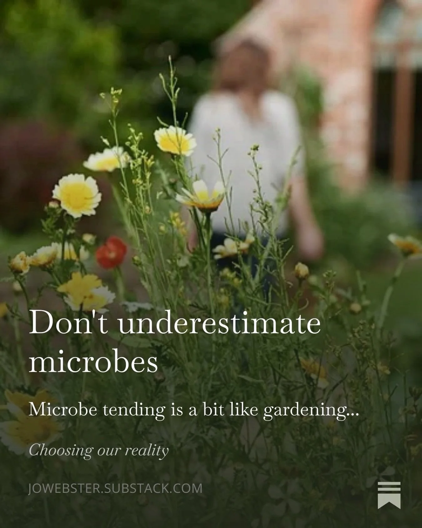 What is your microbe tending style? And why does it matter? 

My latest Substack looks at why we are foolish to underestimate microbes. I use two examples - meningococcal bacteria (a cause of bacterial meningitis) and a kimchi-derived microbe that ca