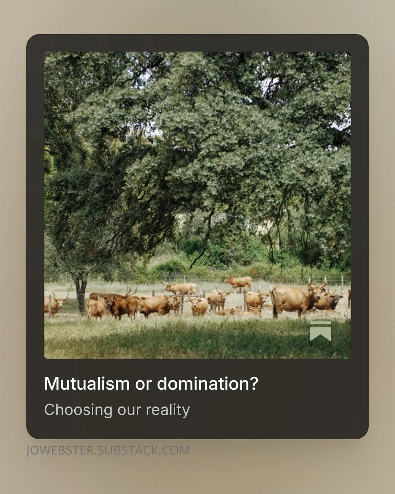 Mutualism or domination? You decide. You really do.

My latest Substack explores our relationship with plants and what it looks like when it is mutualistic. Power with is something quite, quite different to power over.

Enjoy your Friday.