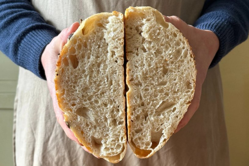 Sourdough starter