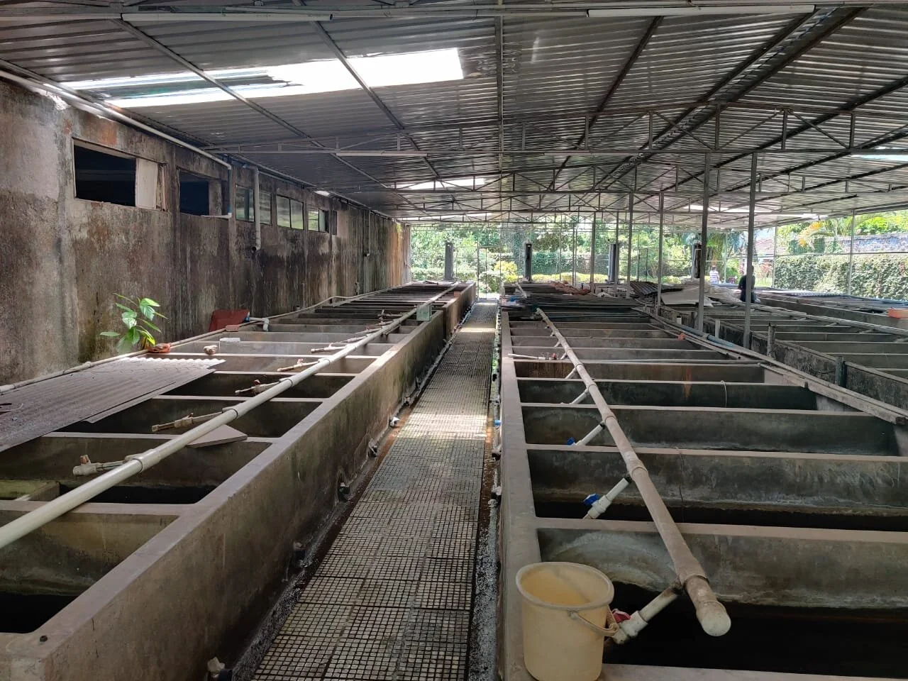 WhatsApp Image 2021-05-18 at 11.11.41 AM.jpeg