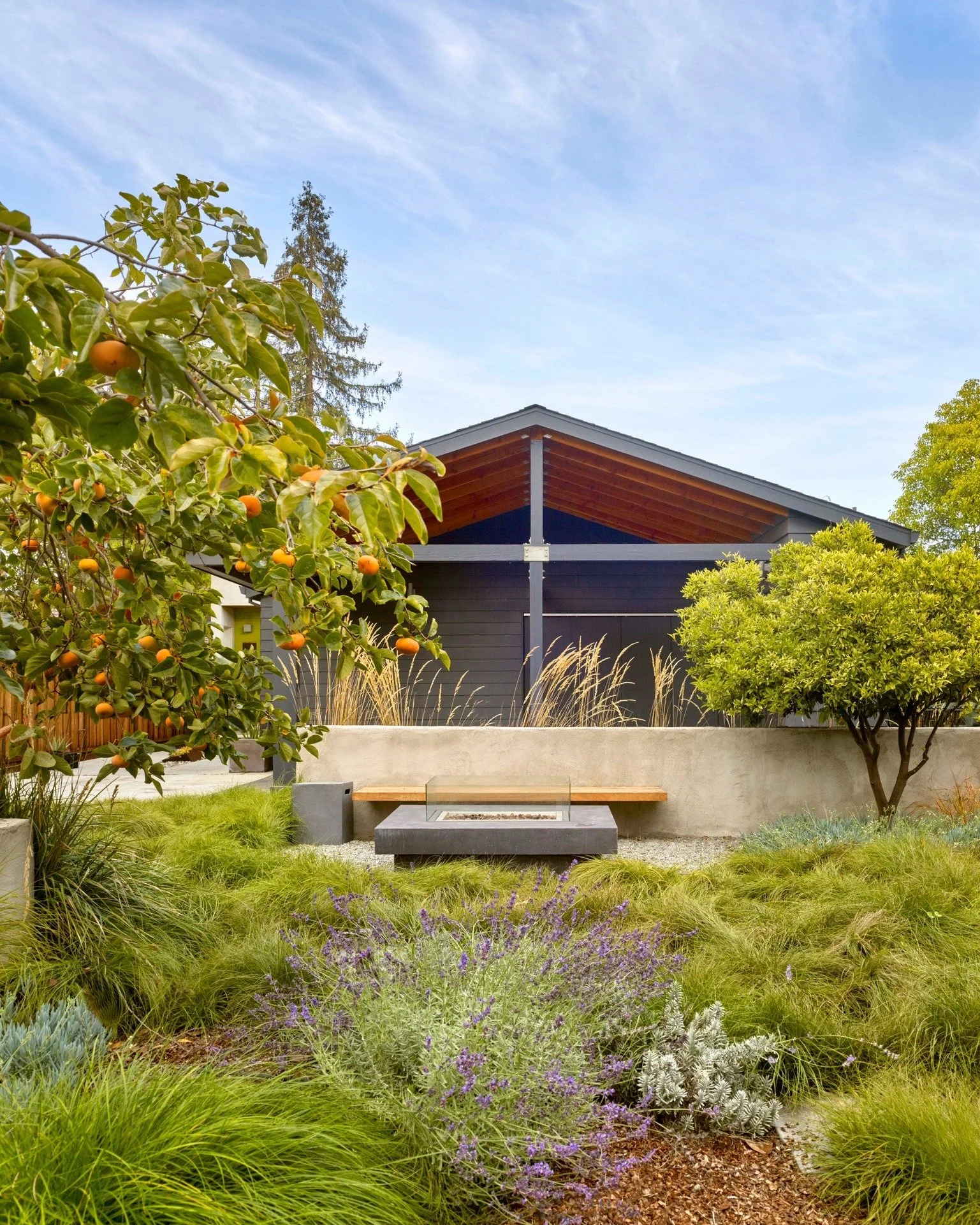 Two existing homes on one lot became the ideal canvas for bringing together multiple generations and tastes to create a serene family compound. We introduced a crisp entry volume and an airy carport that reads like a pavilion, both opening to a lush,