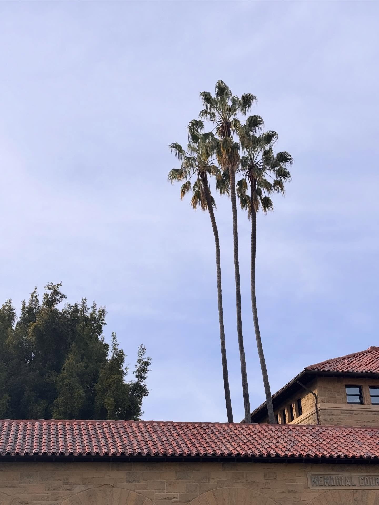 Nature and art that evoke the universe, all found in the neighborhood - this time, on the @stanford campus. 

January was over in a flash. Time to slow February down and take things in slowly. Beauty can be found wherever you are. 

#inspirationevery