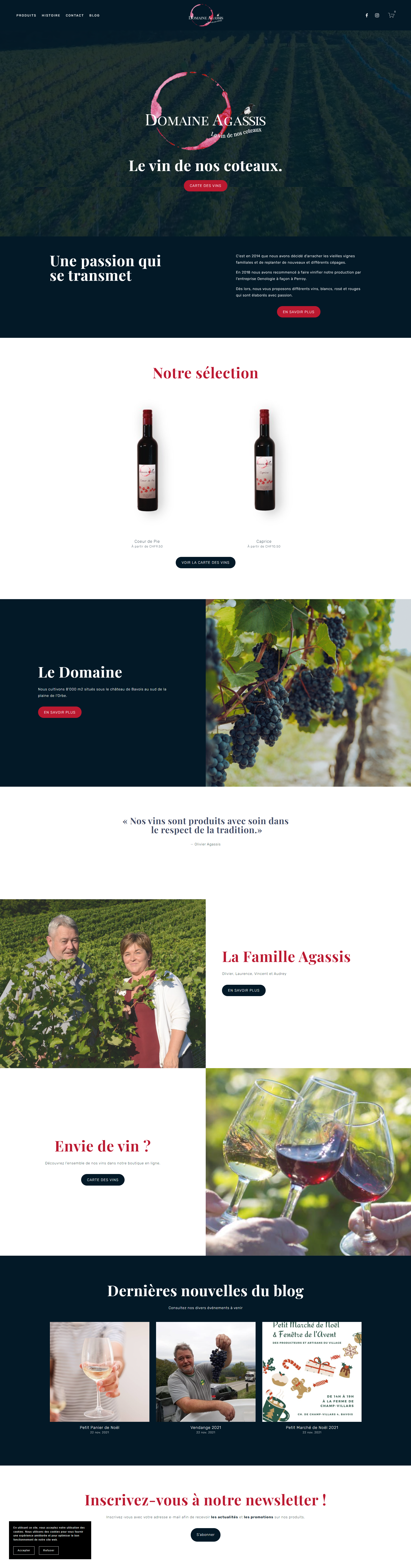 Domaine Agassis Layout home page.png