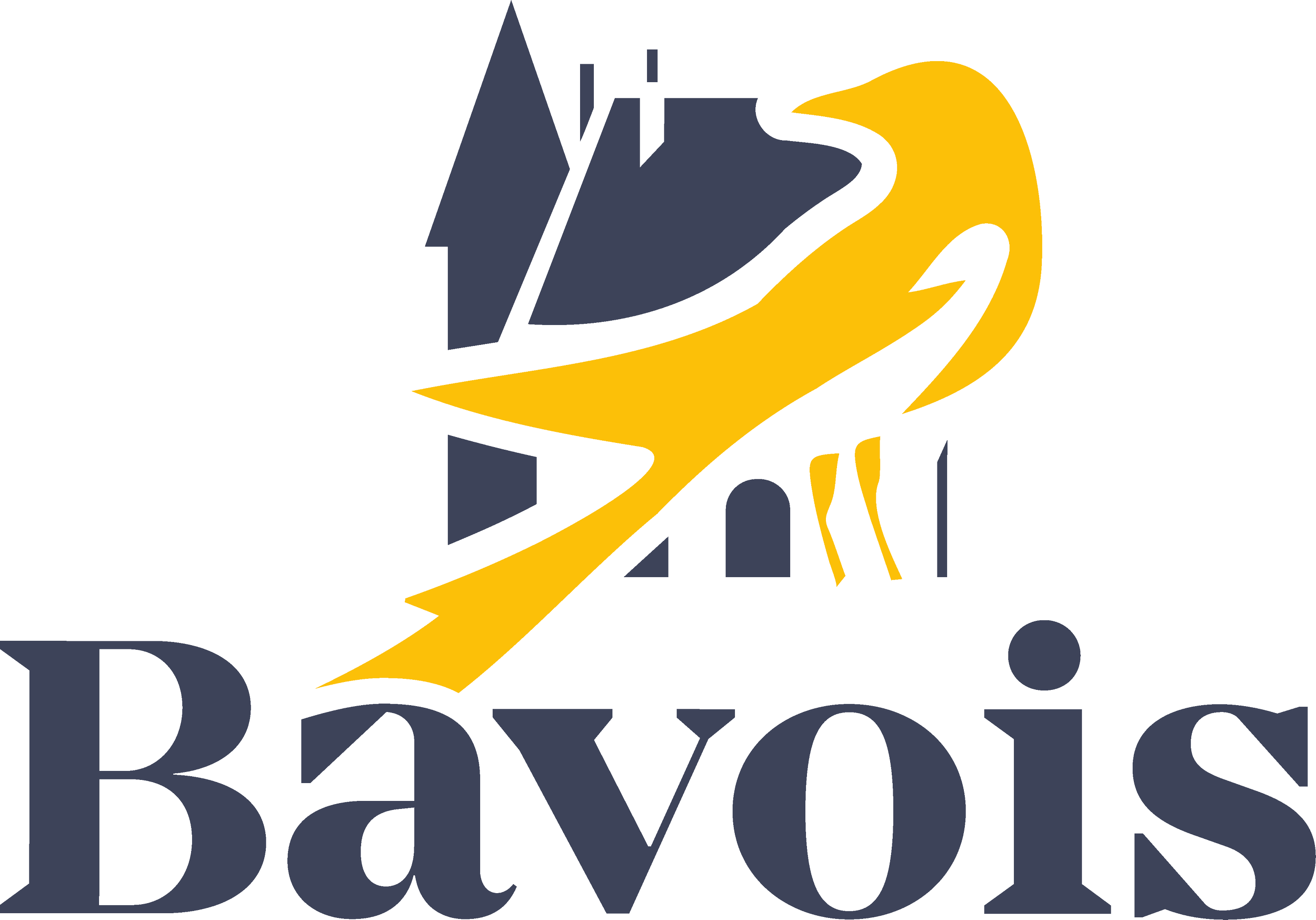 Logo-BAV-sec-2-bi.png