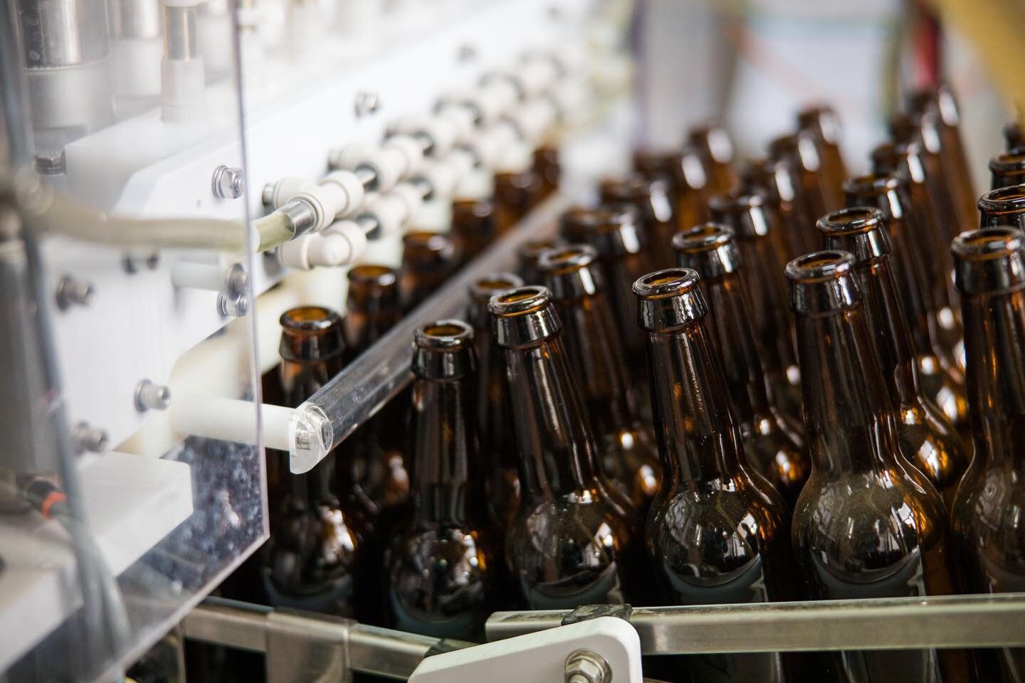 Bottling at Cederberg Brewery is a meticulous process and involves filling, capping, and labelling the bottles with precision and care to ensure that each one meets the highest quality standards. 

From the moment the bottles are filled with the deli