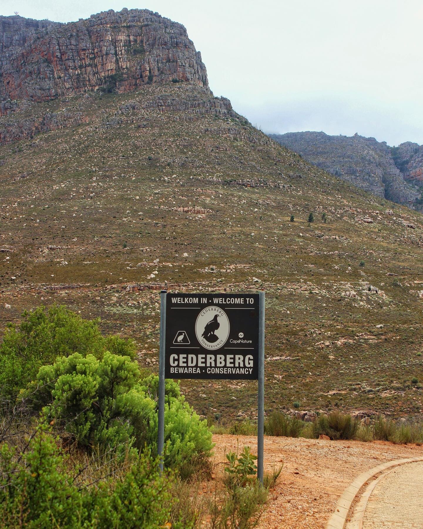 We feel incredibly blessed to call the Cederberg Conservancy our home 🙏 Nestled among the rugged mountain ranges and pristine wilderness, we draw inspiration from the natural beauty around us to create our masterful brews. Come and raise a glass wit