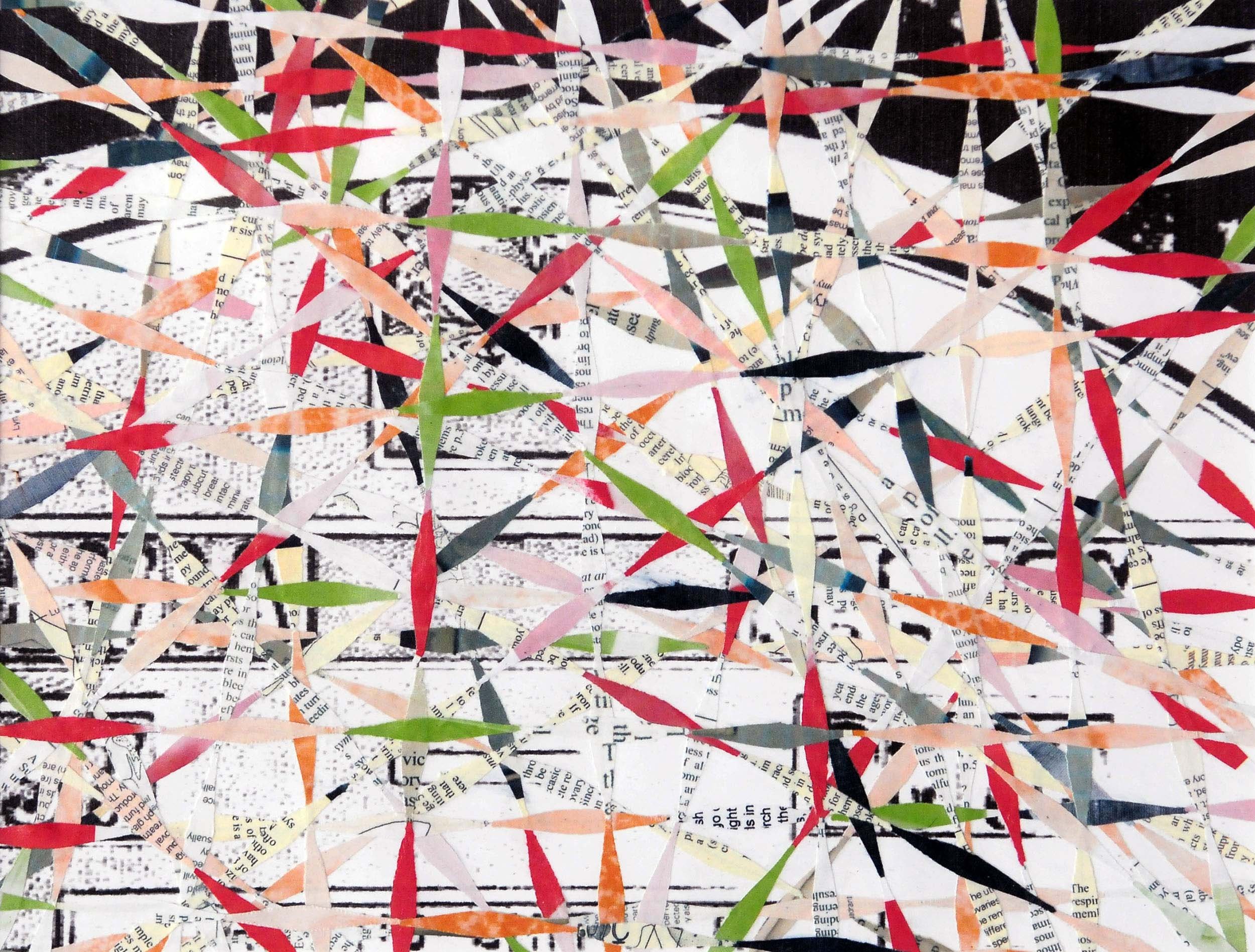  Precedent , Acrylic and shredded paper collage on inkjet print, 11 x 14 inches, 2011