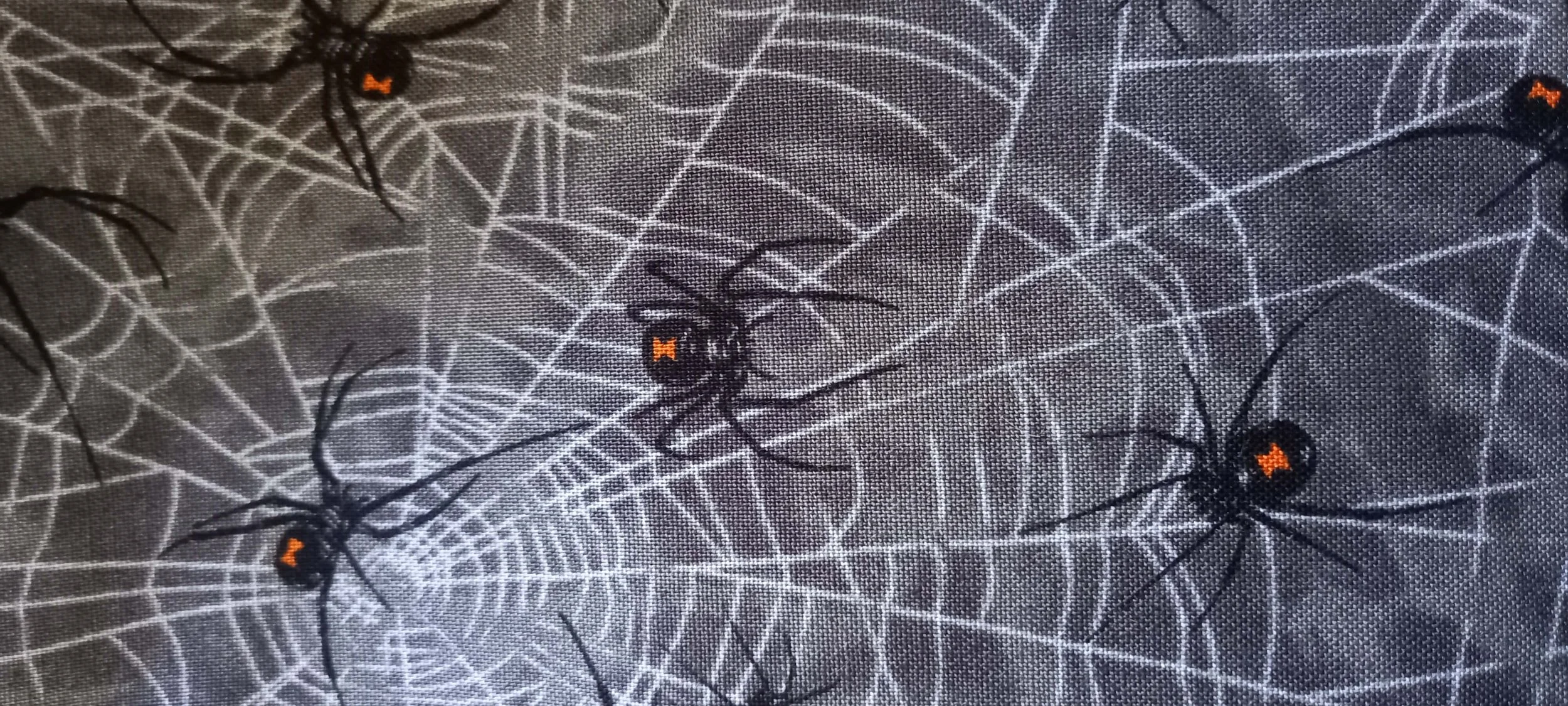 Spider Fabric Close Up