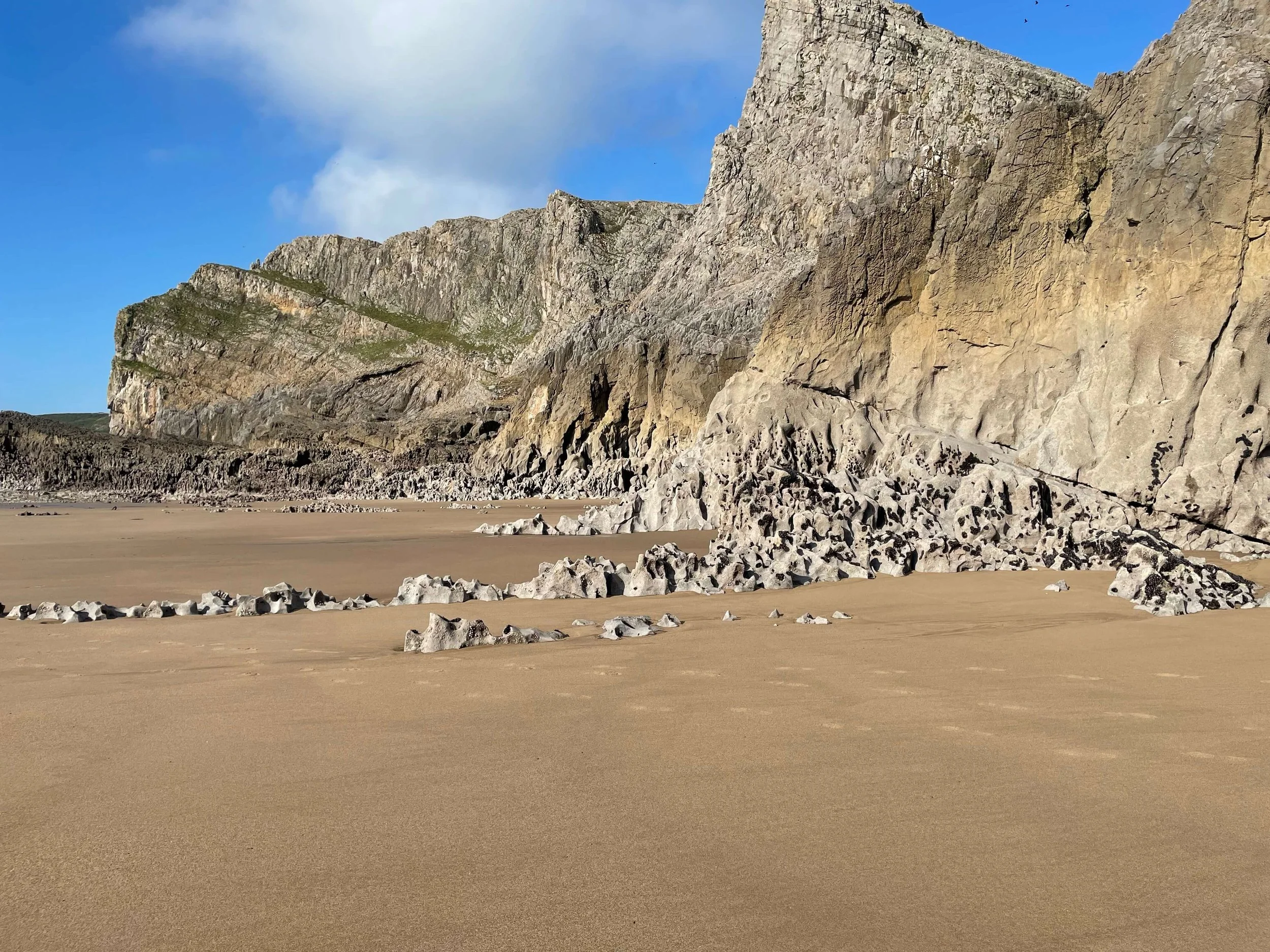 Dinosaur Skeleton Rocks.jpeg