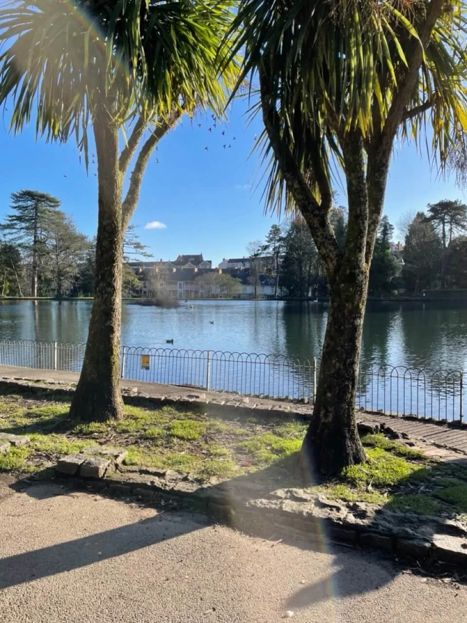 Brynmill Park 2025.jpeg