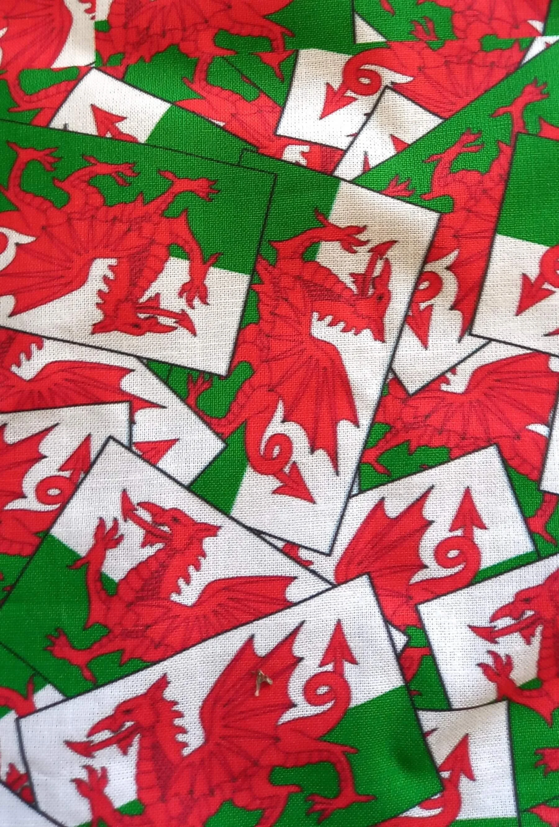 Welsh Dragon Japanese Knot Bag Close Up