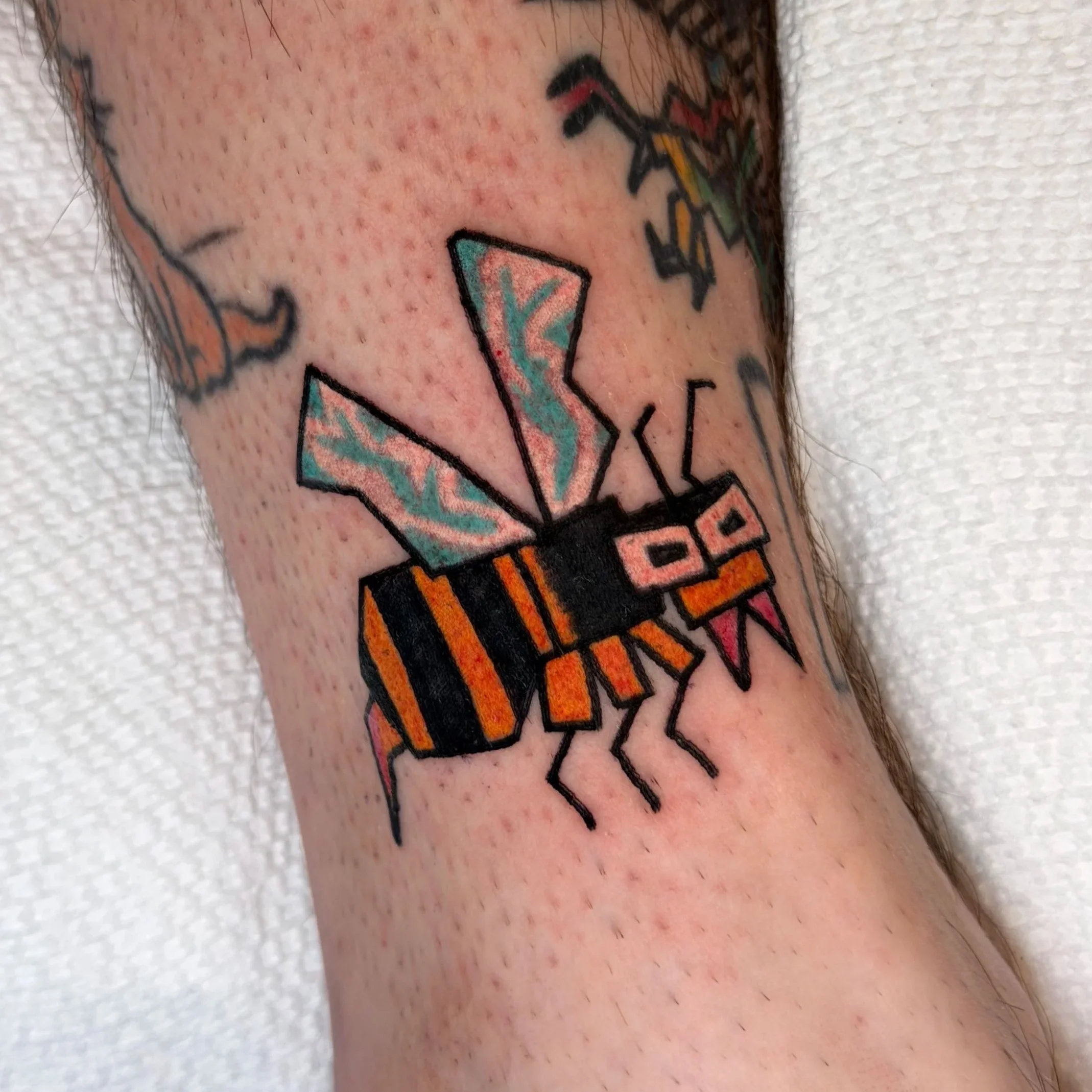 Wasp.jpg