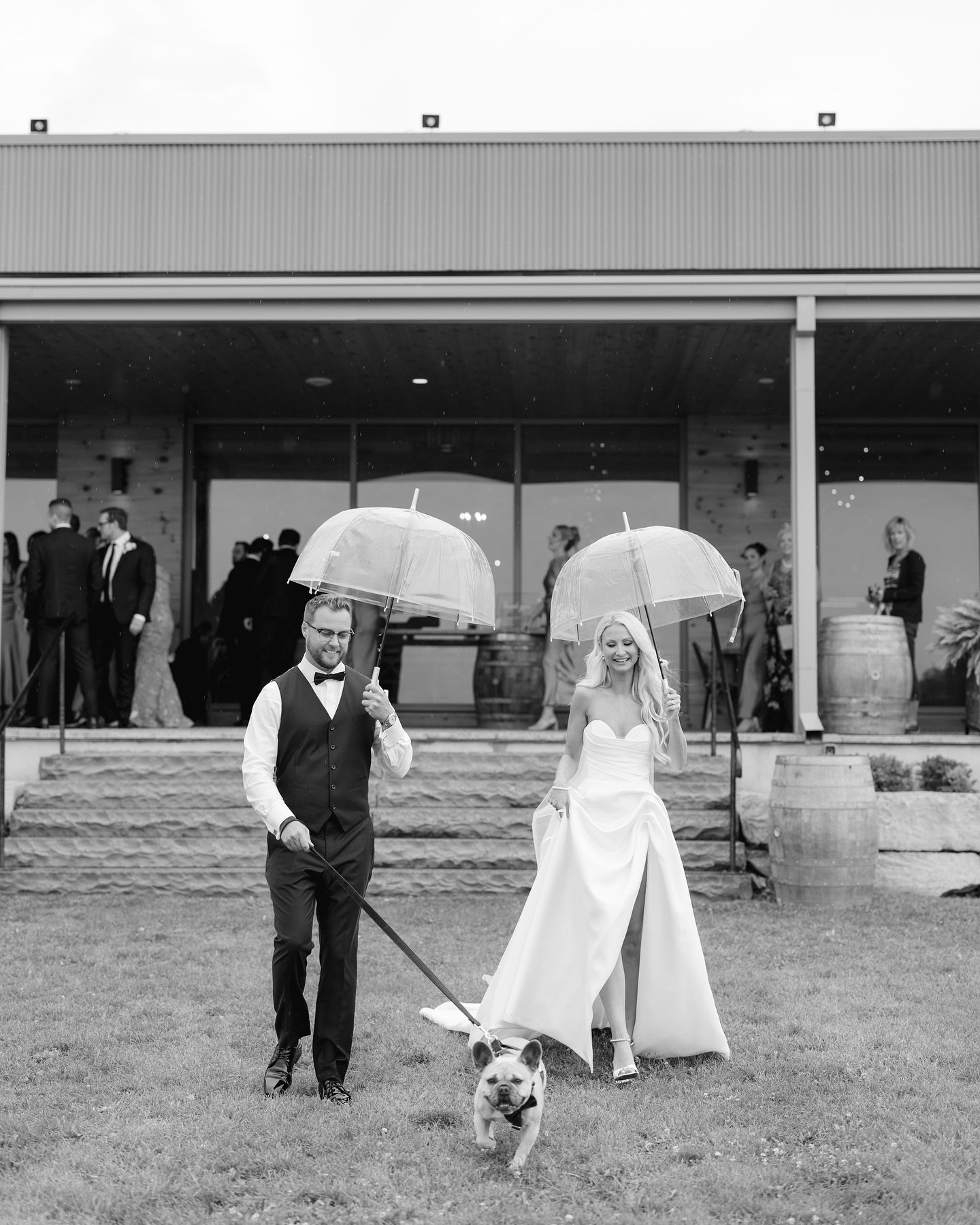Mr. &amp; Mrs. Wilton

Venue: @ravinevineyard 
Floral: @bloom_and_co 
Dress: @superiorbridal @wona.bridal @wona_concept 
Shoes: @jimmychoo 
Makep: @makeupworx @makeupworx_meaghanc 
Hair: @hair.byalys
