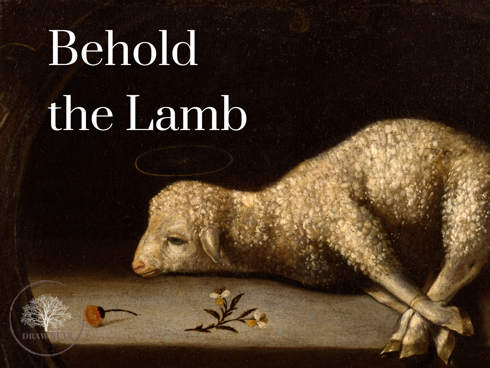 Behold the Lamb