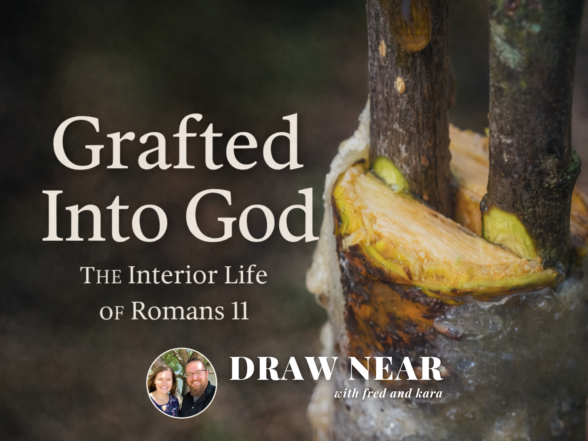 Grafted Into God: The Interior Life of Romans 11