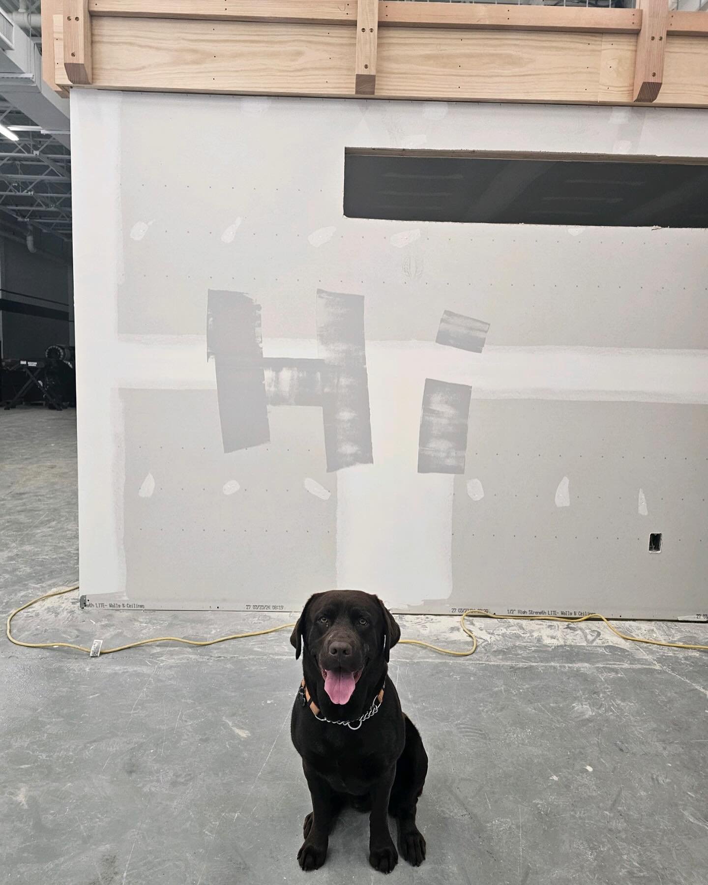 Charley Boy is here with an update on our new gym space. Our amazing members spent their free time painting this weekend and in true SPRC fashion, they had a great time doing it. 

We can&rsquo;t wait to share the finished product with you soon!

#cr