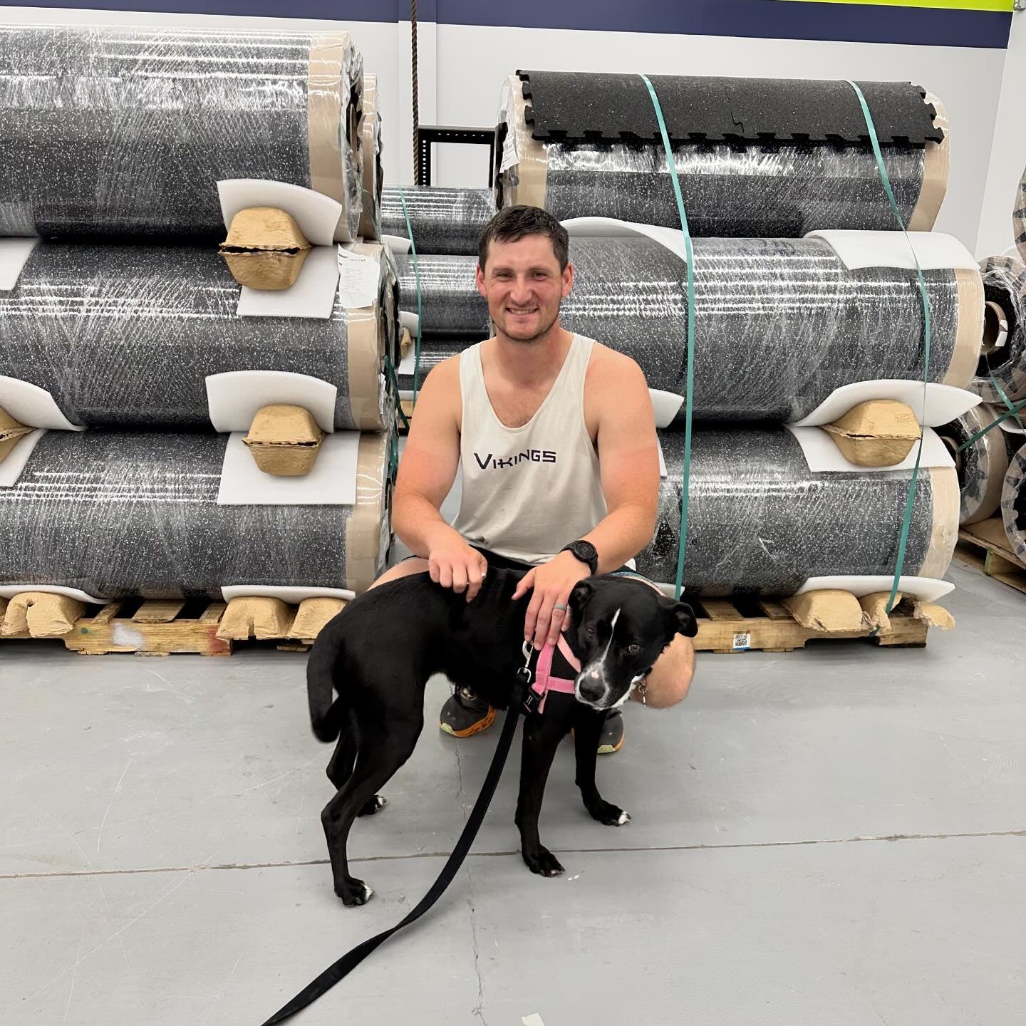 Coach Walker and Coach Frank are getting ready to start laying flooring in the new gym space and they need YOUR help! (Jersey can&rsquo;t help because she does not have thumbs.) 

We&rsquo;ll be starting at 6pm on Monday and coming back at 4pm on Tue