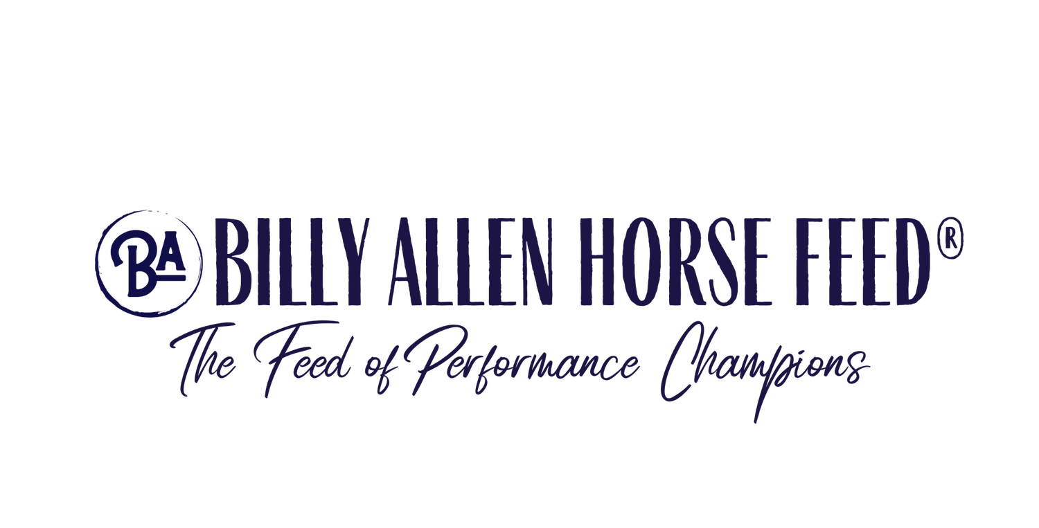 Billy Allen Horse Feed