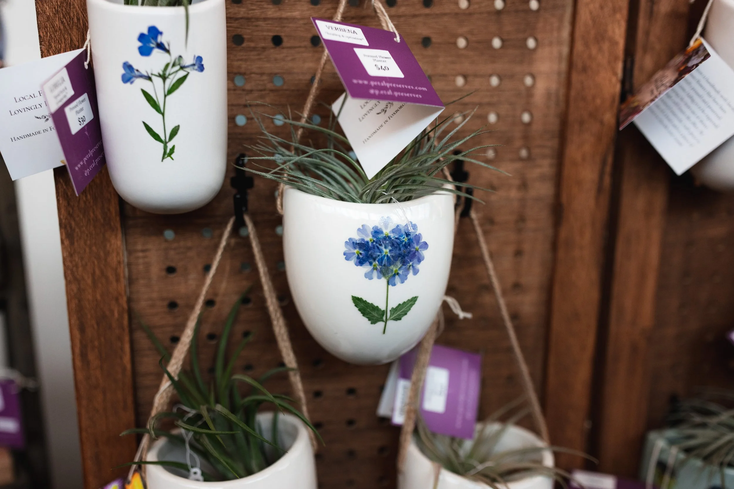 Bloom BTV 2025 WEB-210.jpg