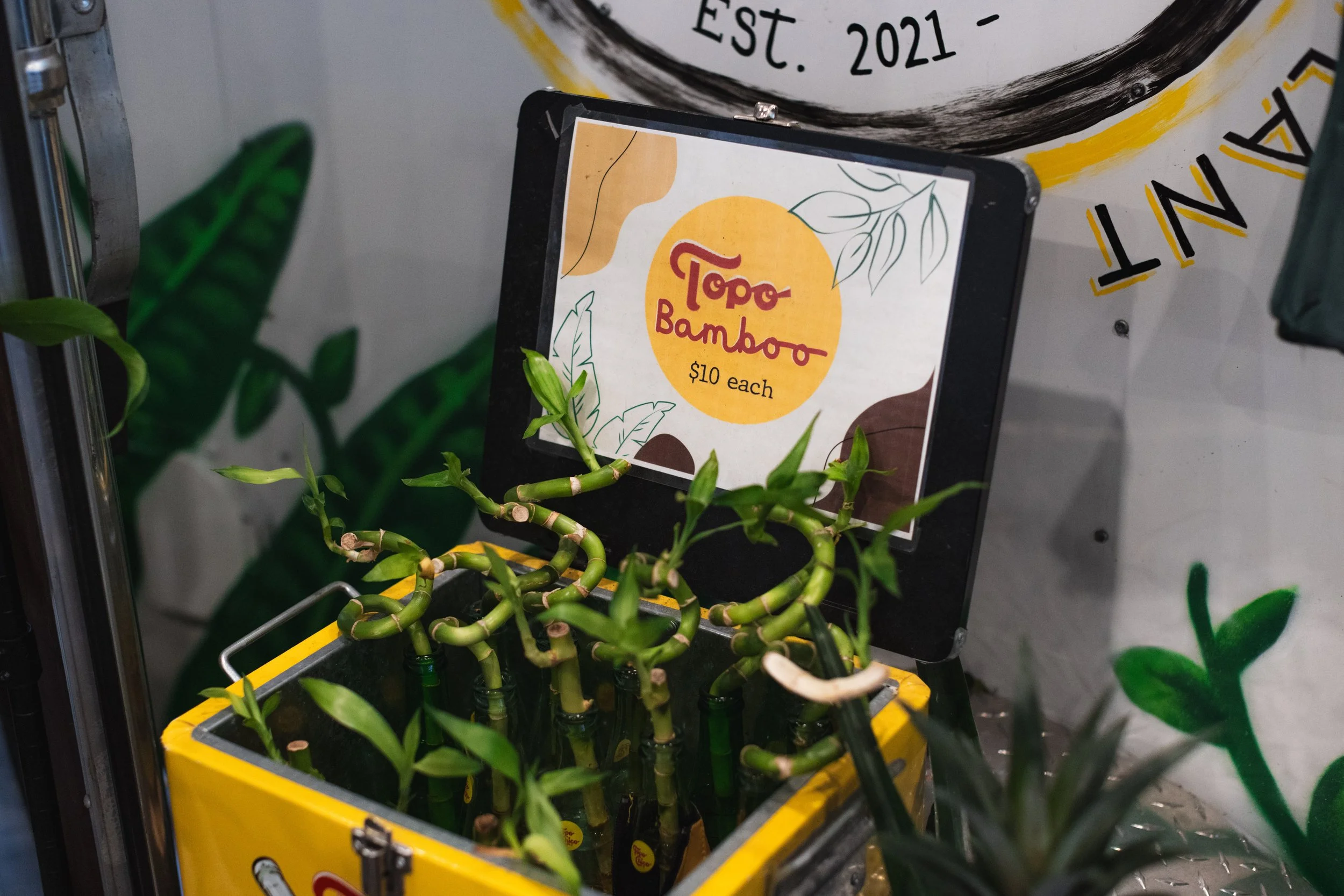 Bloom PVD 2025 WEB-167.jpg