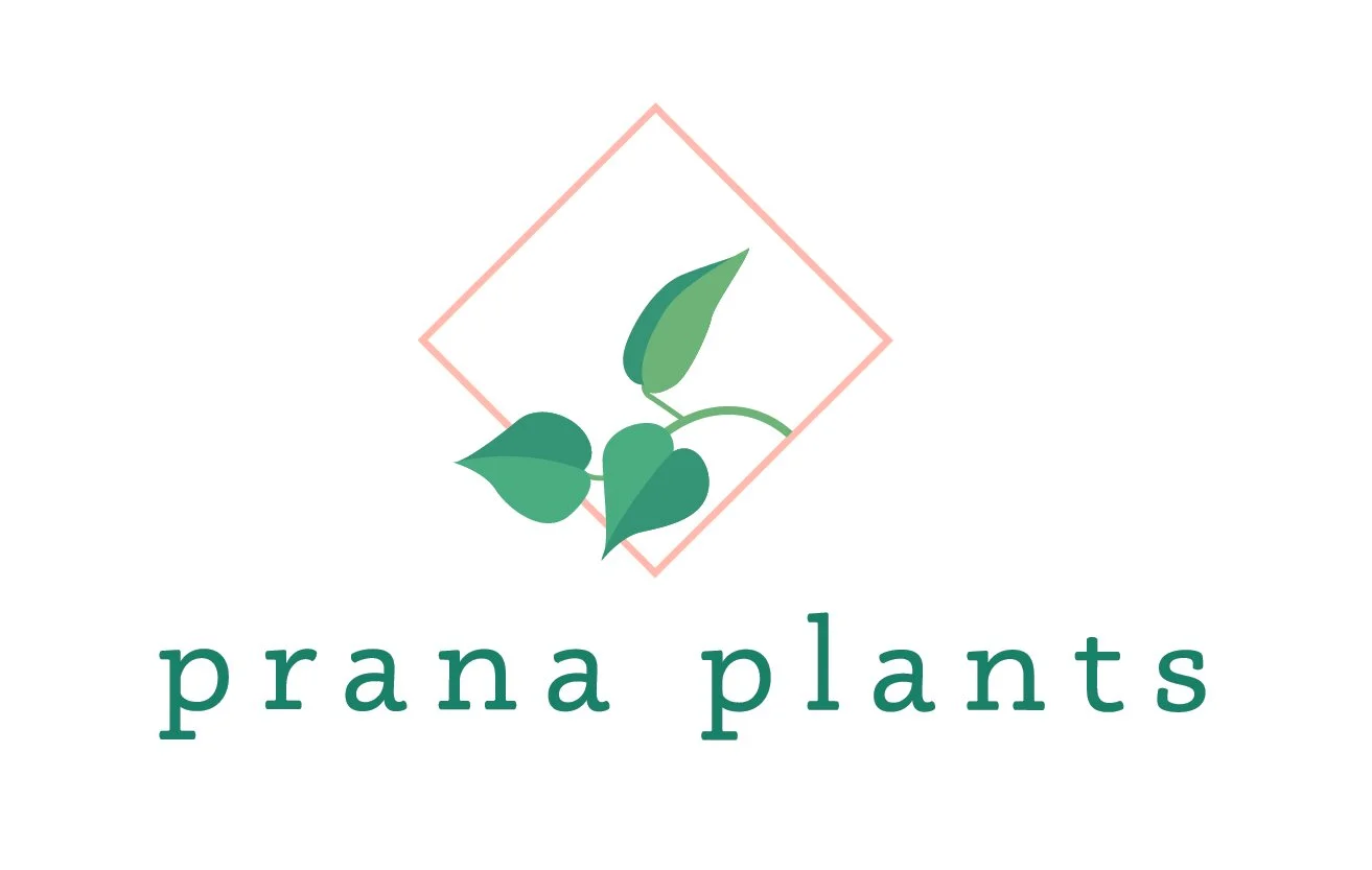 JPEG Prana-PinkSquare-Logo.jpg