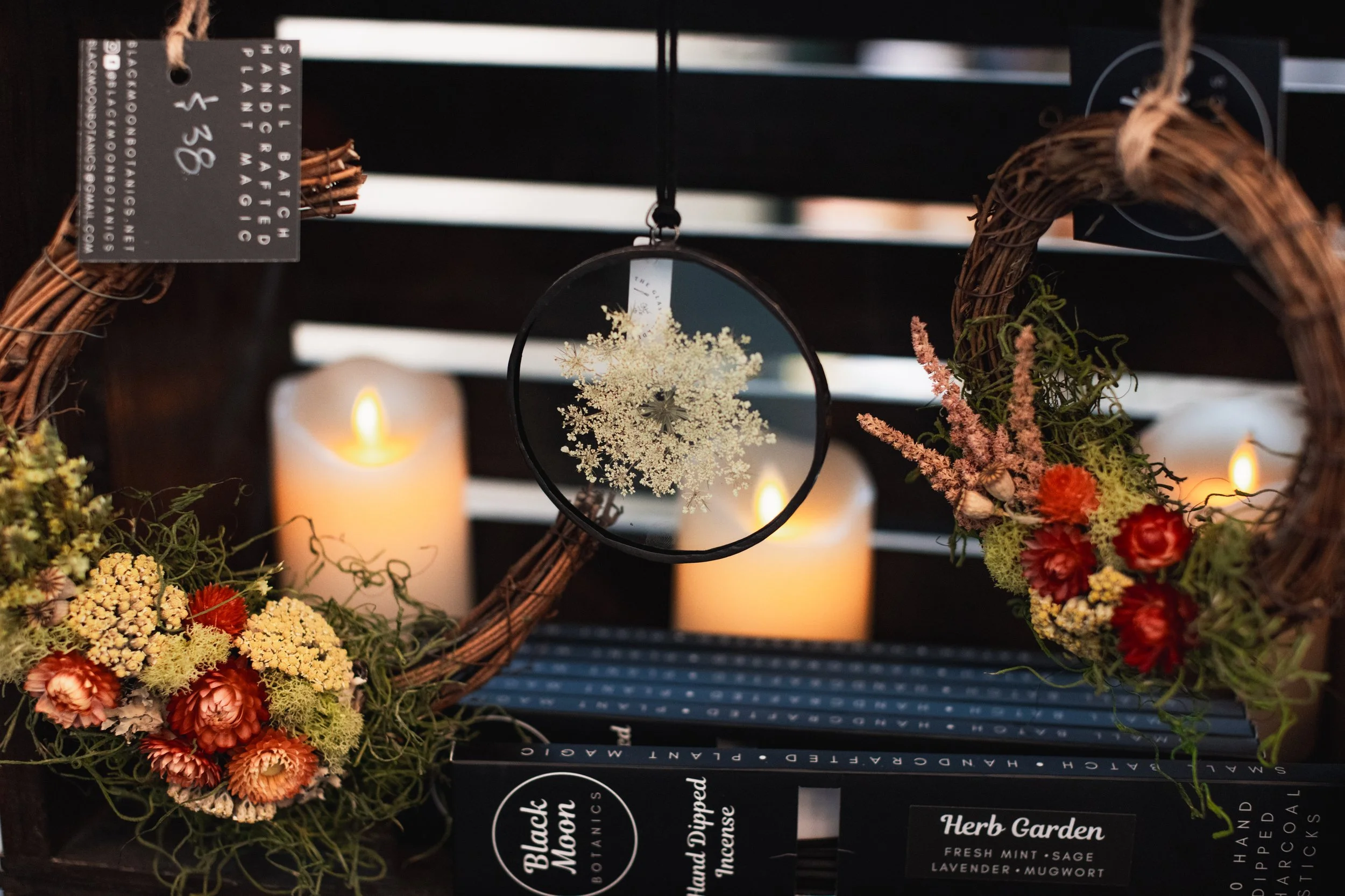 Bloom BTV 2025 WEB-135.jpg