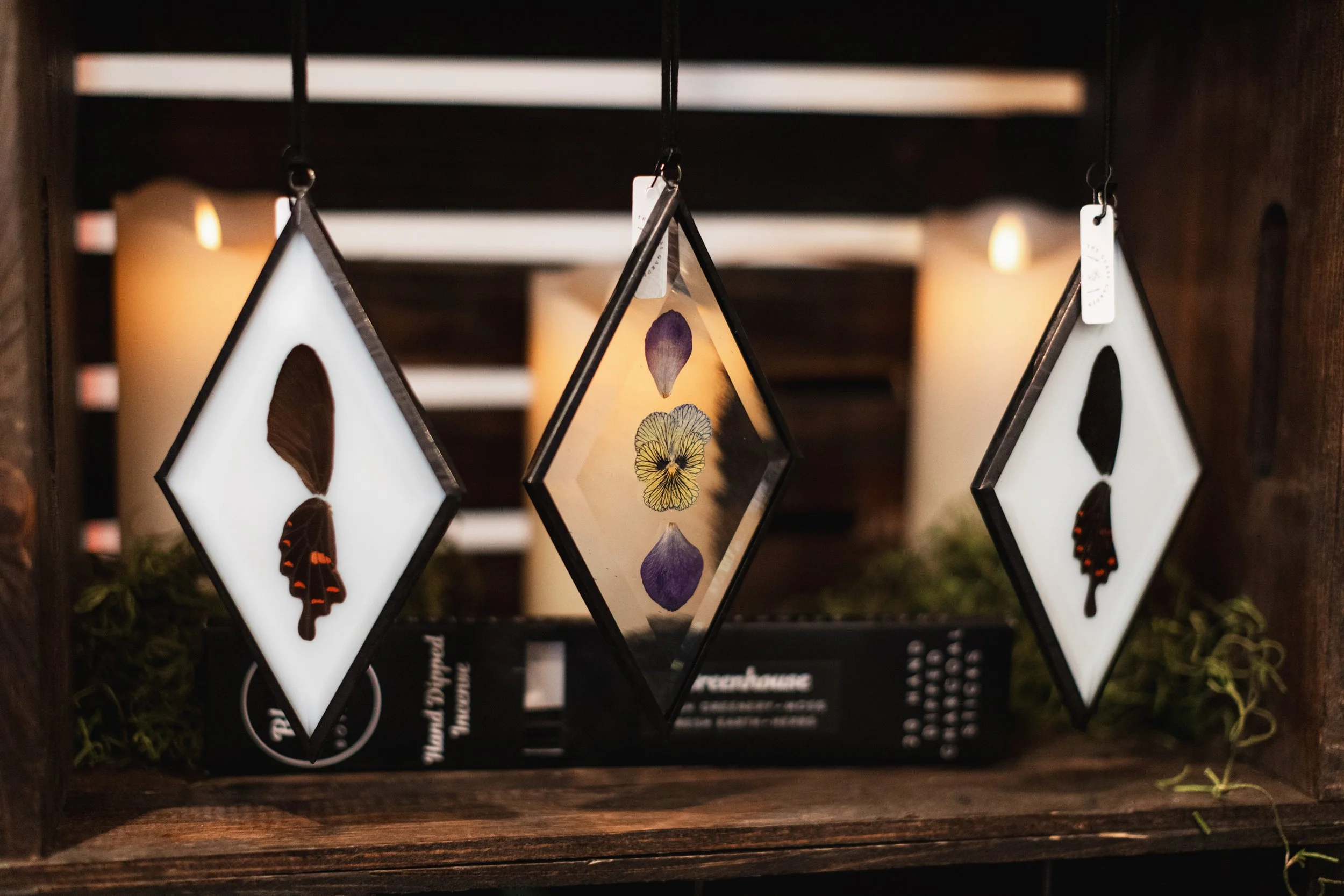 Bloom PVD 2025 WEB-77.jpg