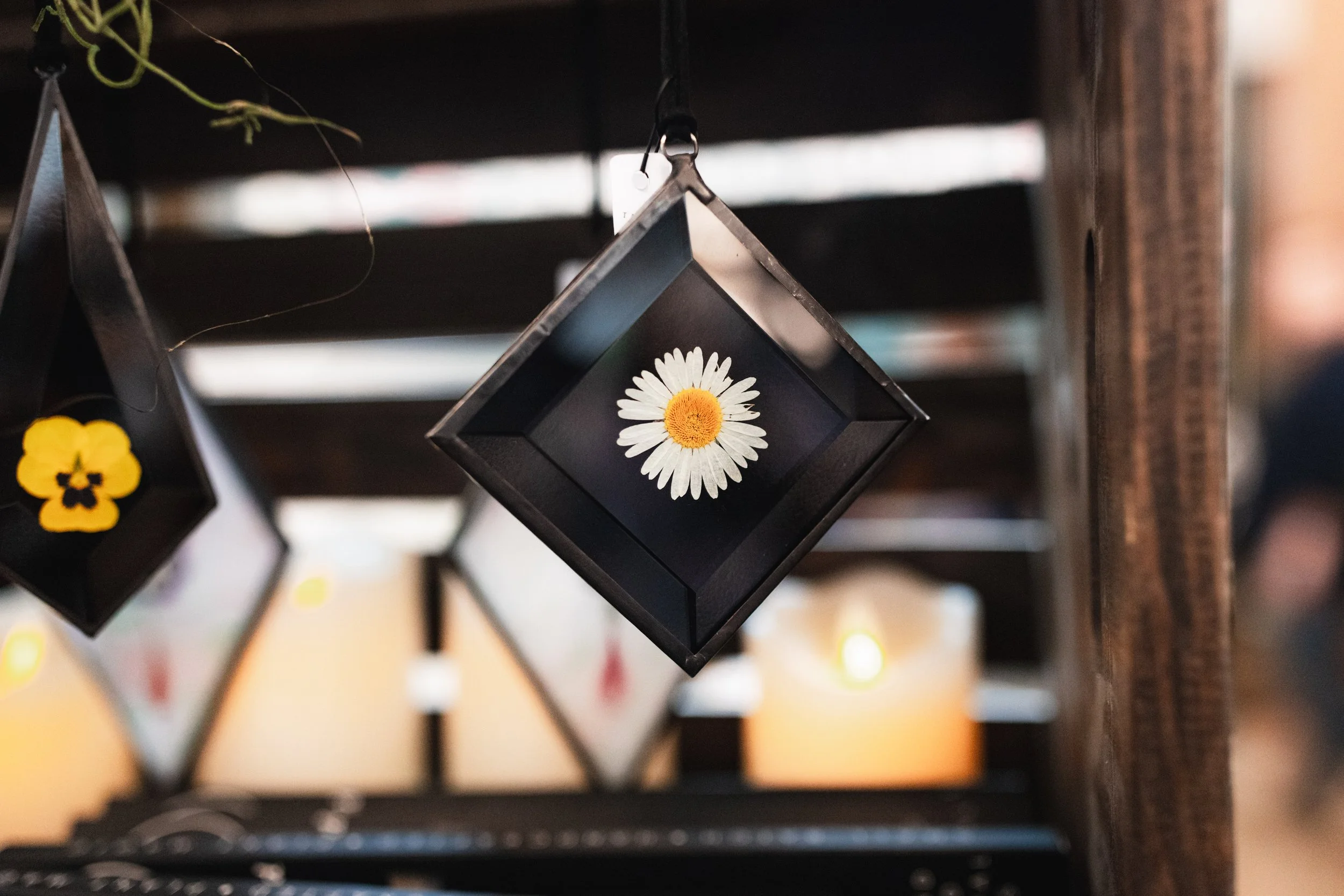 Bloom BTV 2025 WEB-209.jpg