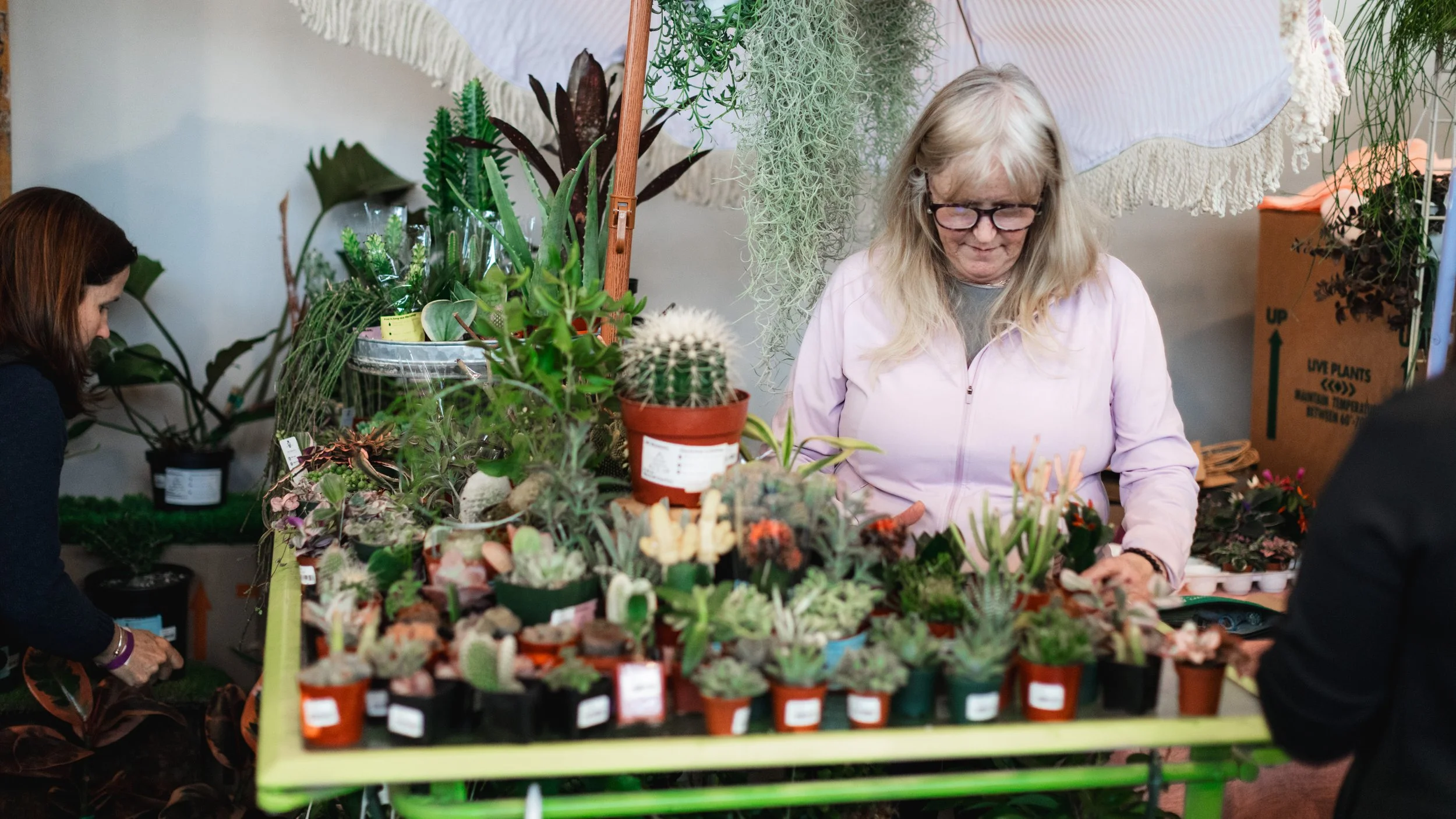 Bloom PVD 2025 WEB-7.jpg