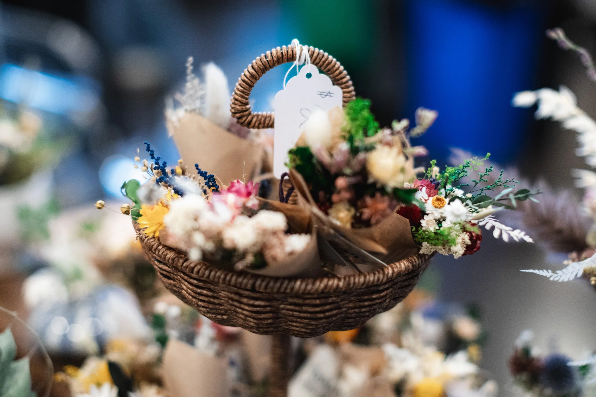 Bloom PVD 2025 WEB-60.jpg