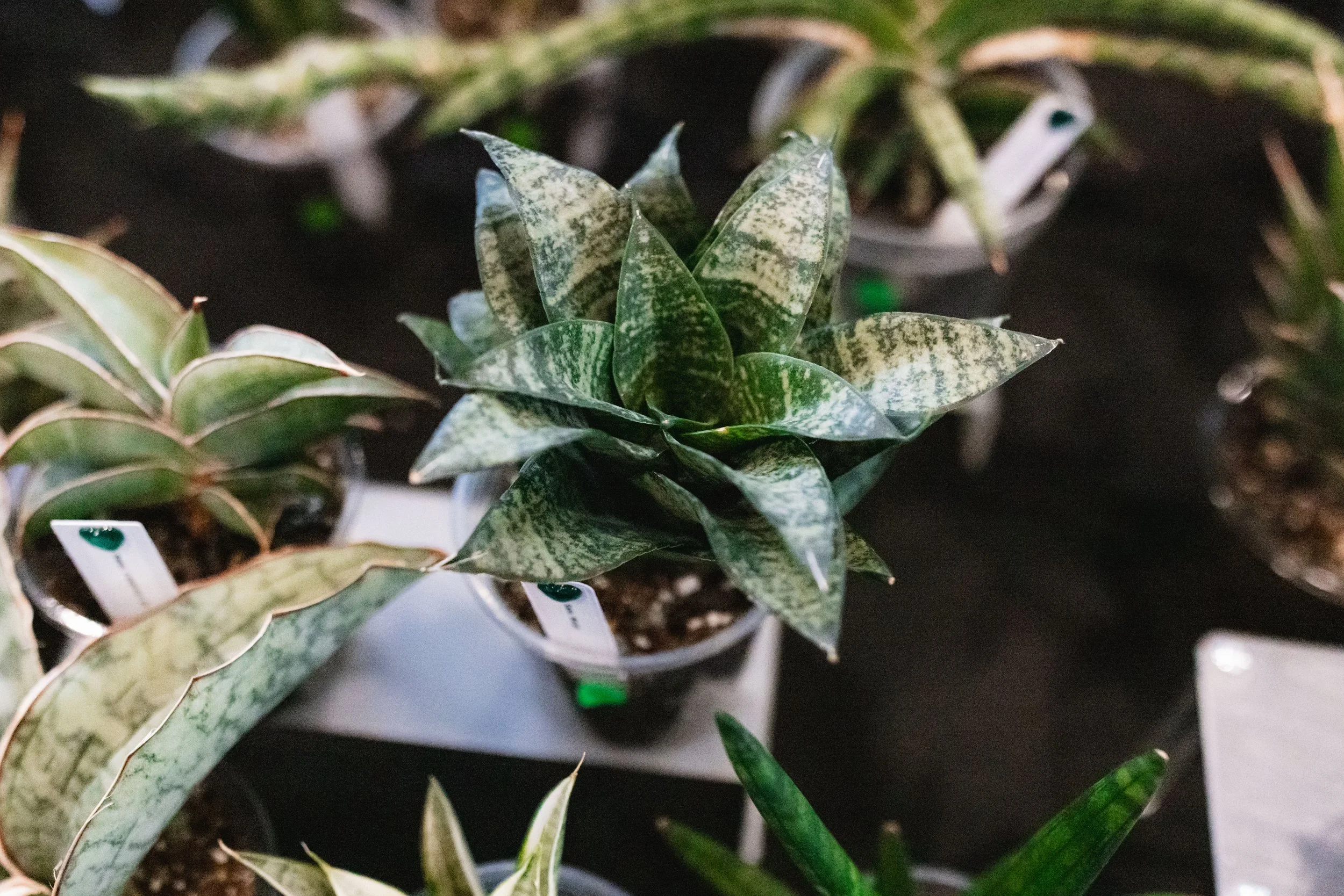 Bloom PVD 2025 WEB-153.jpg