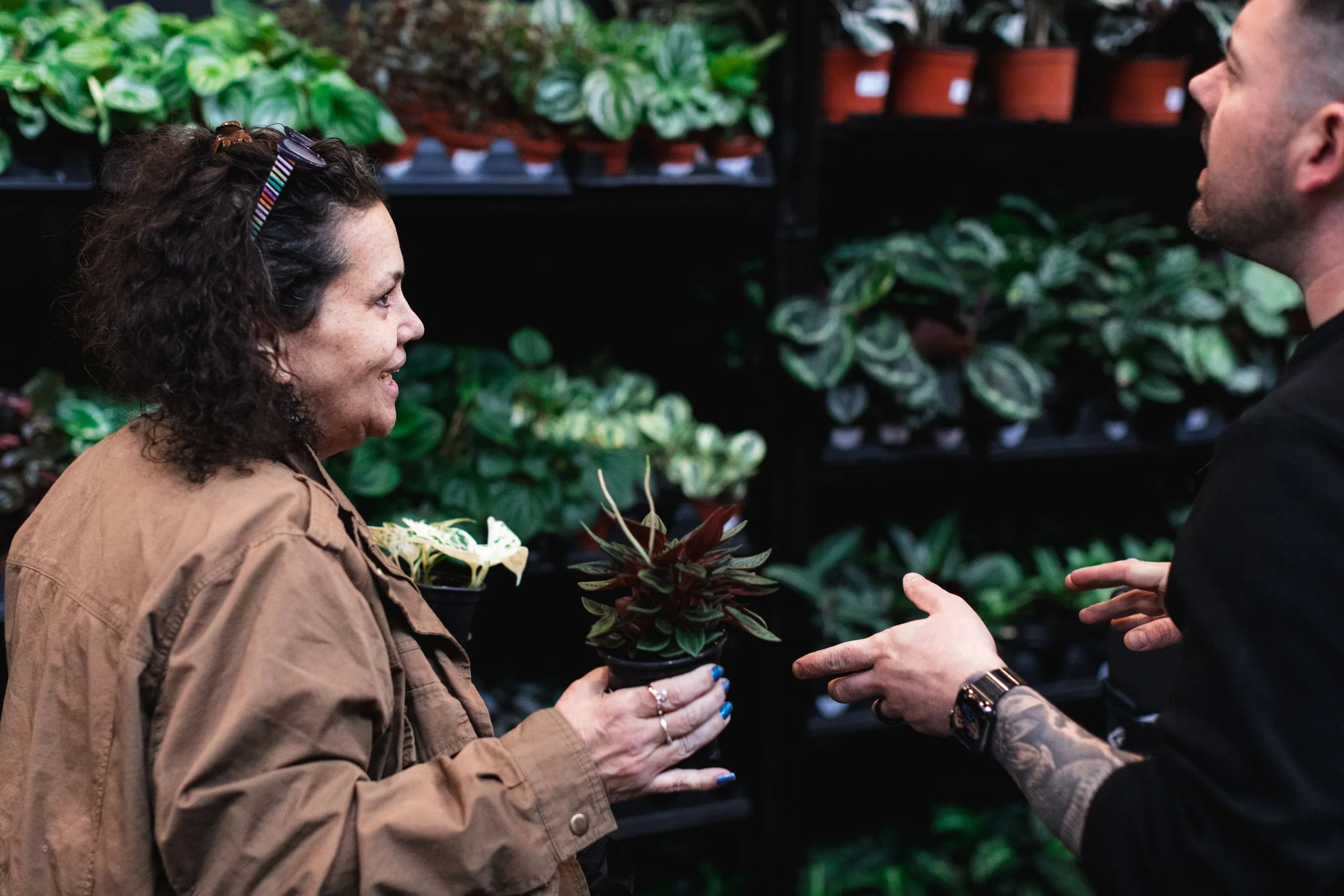 Bloom PVD 2025 WEB-2.jpg