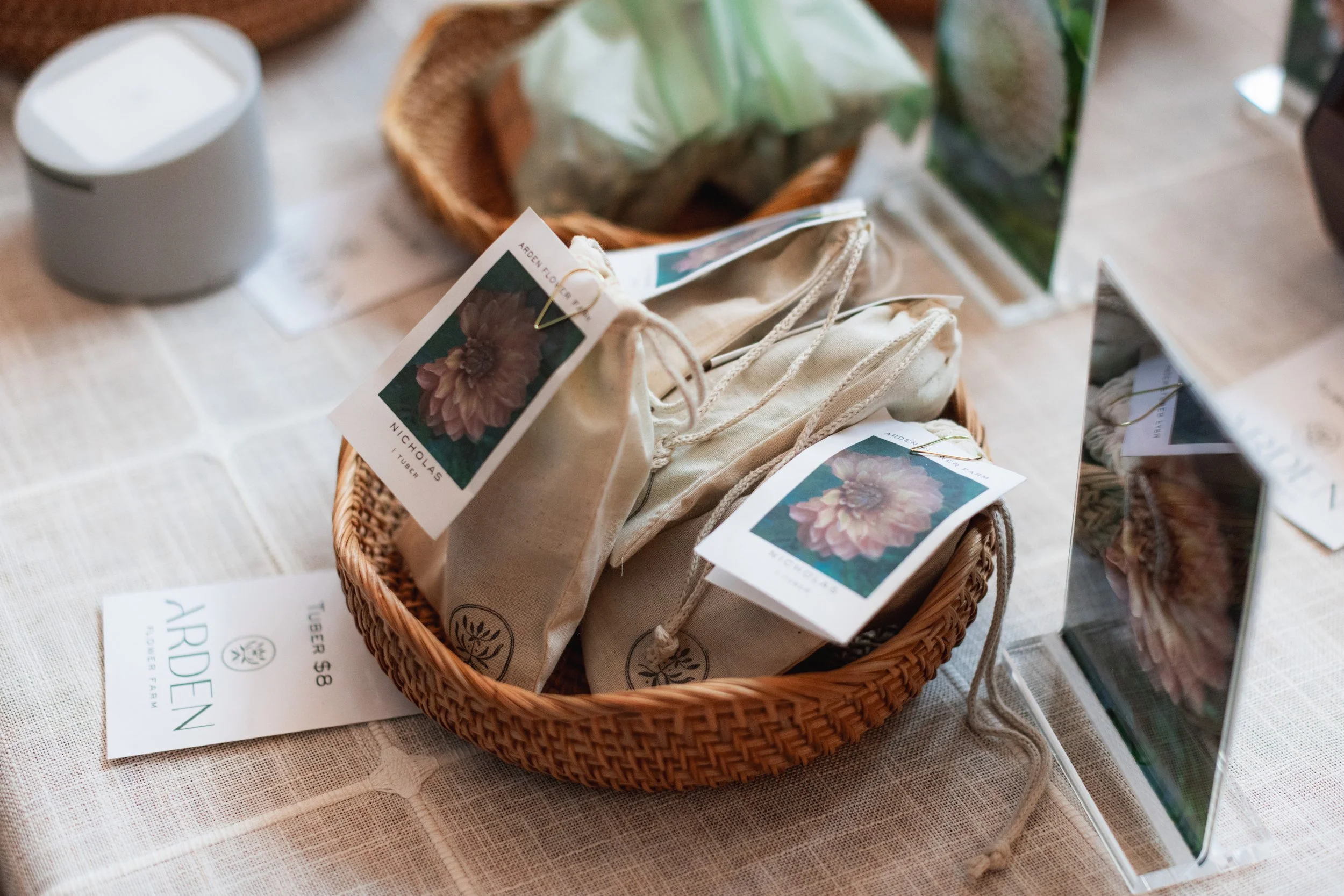 Bloom BTV 2025 WEB-121.jpg