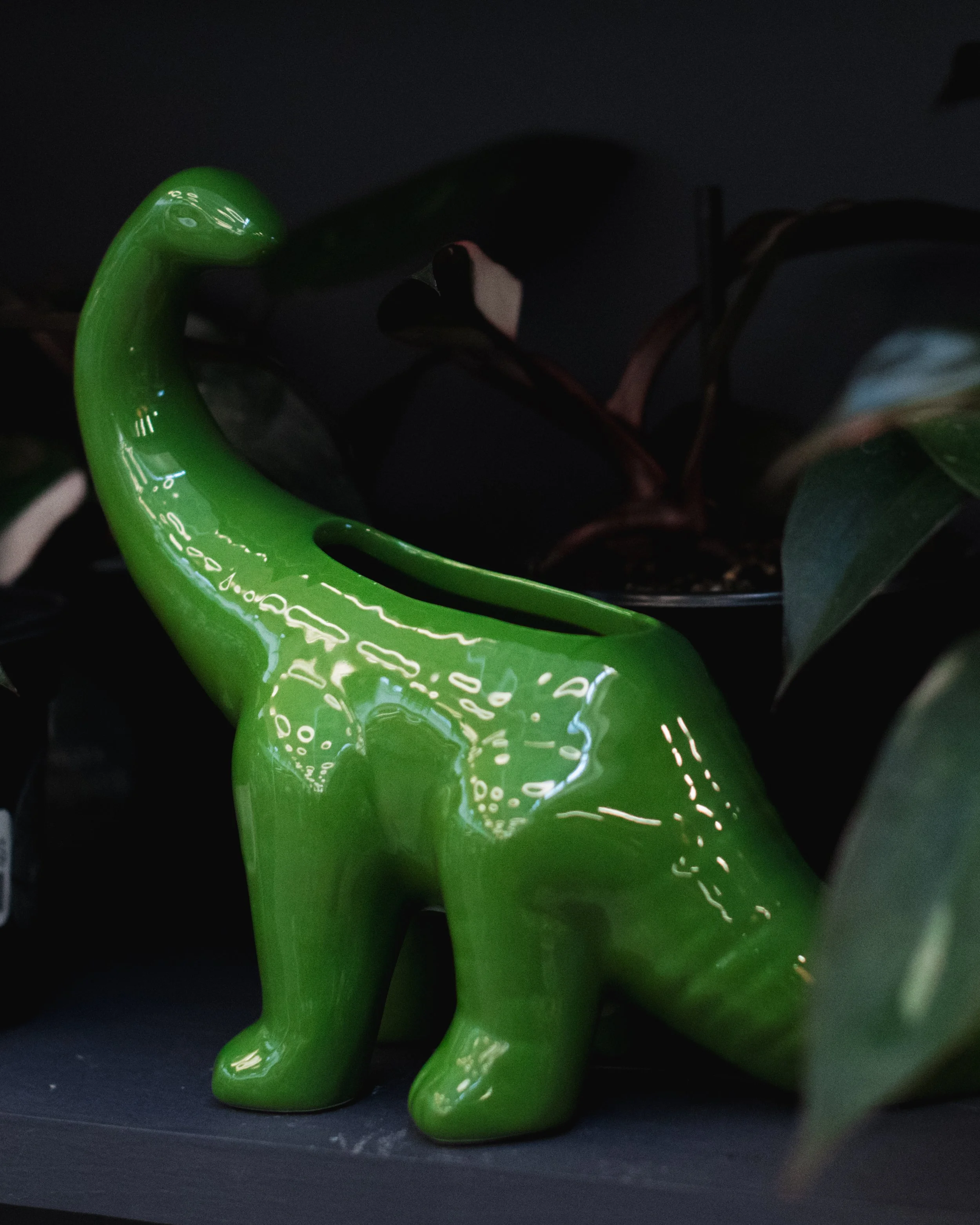 Bloom BTV 2025 WEB-140.jpg