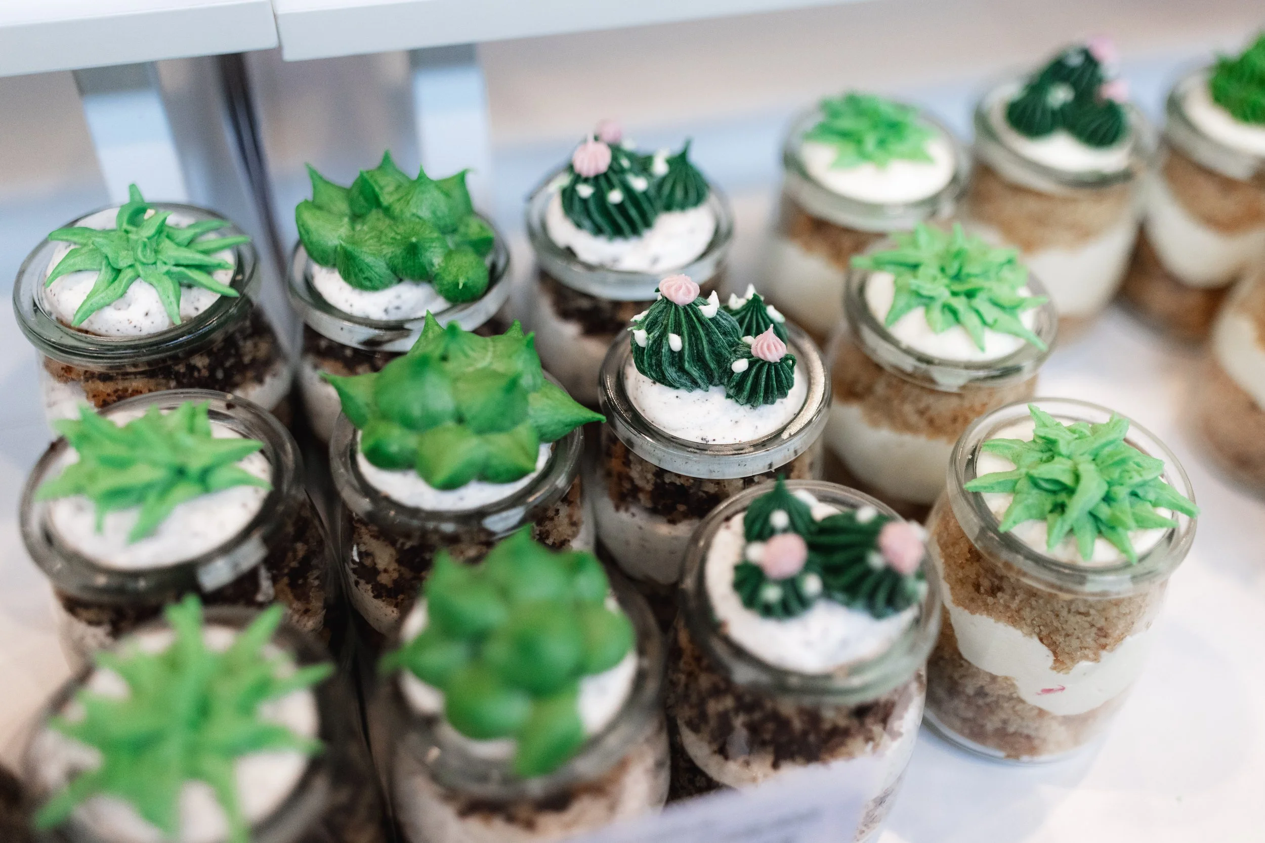 Bloom PVD 2025 WEB-102.jpg