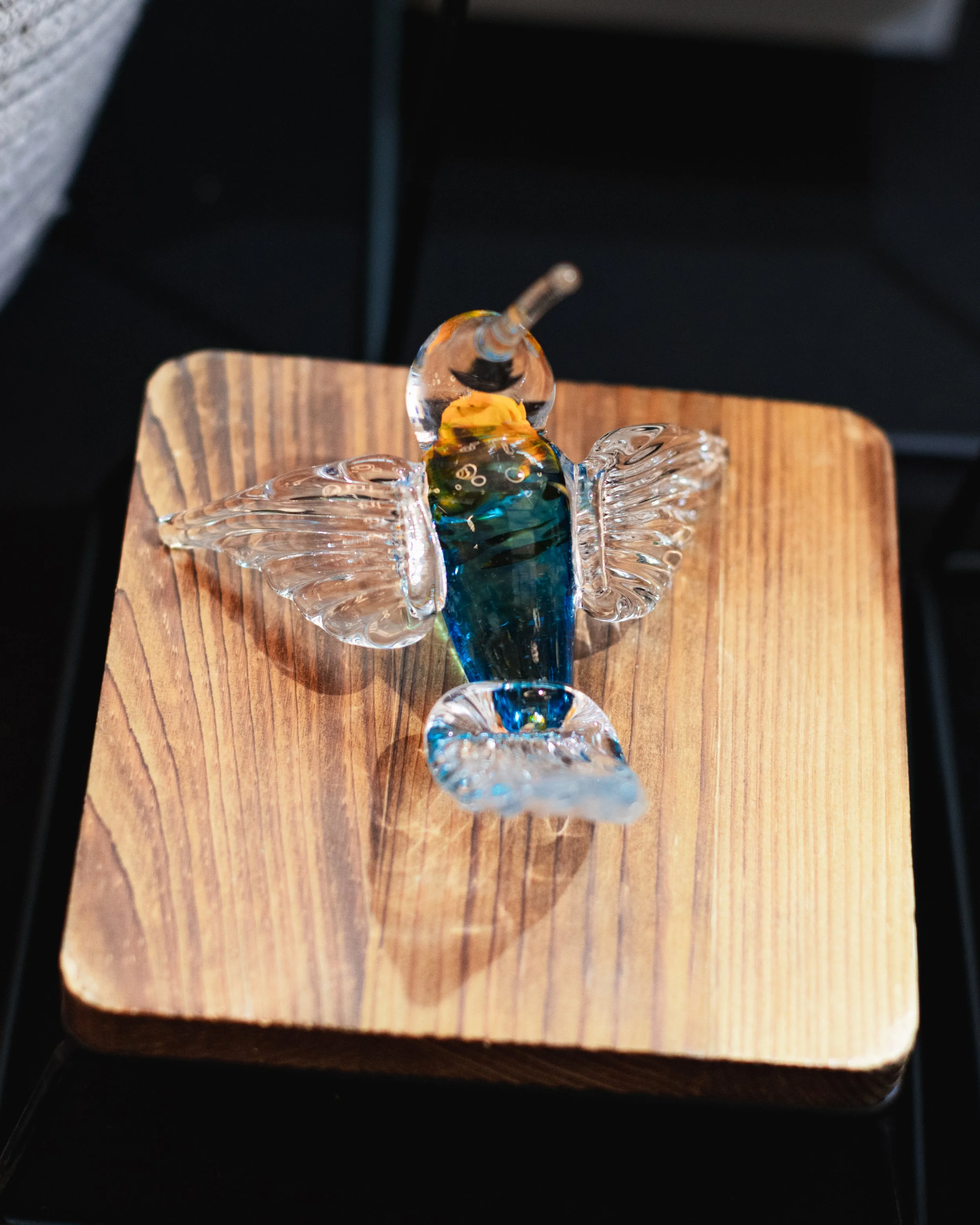 Bloom BTV 2025 WEB-138.jpg