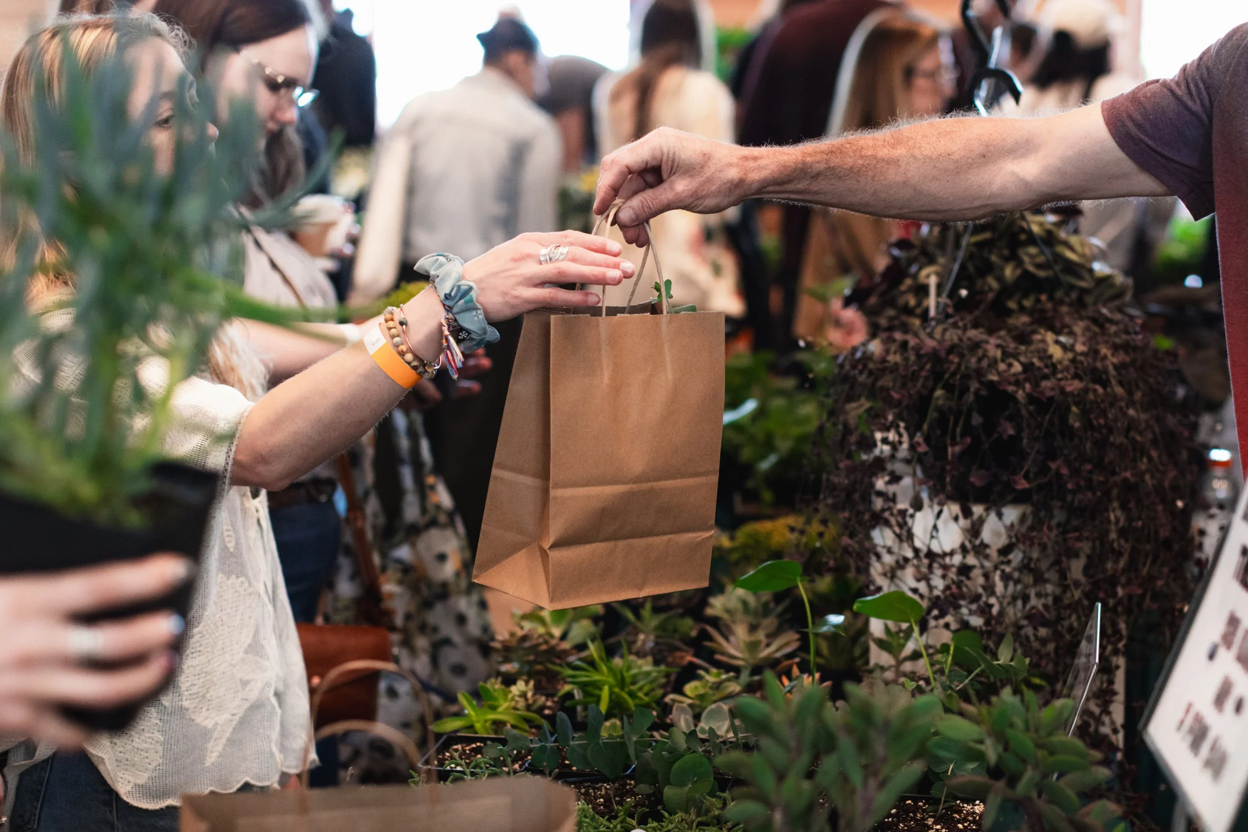 Bloom BTV 2025 WEB-93.jpg