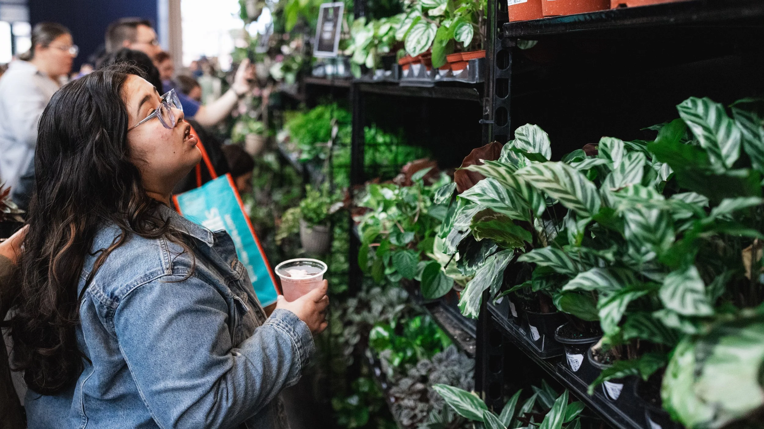 Bloom PVD 2025 WEB-143.jpg